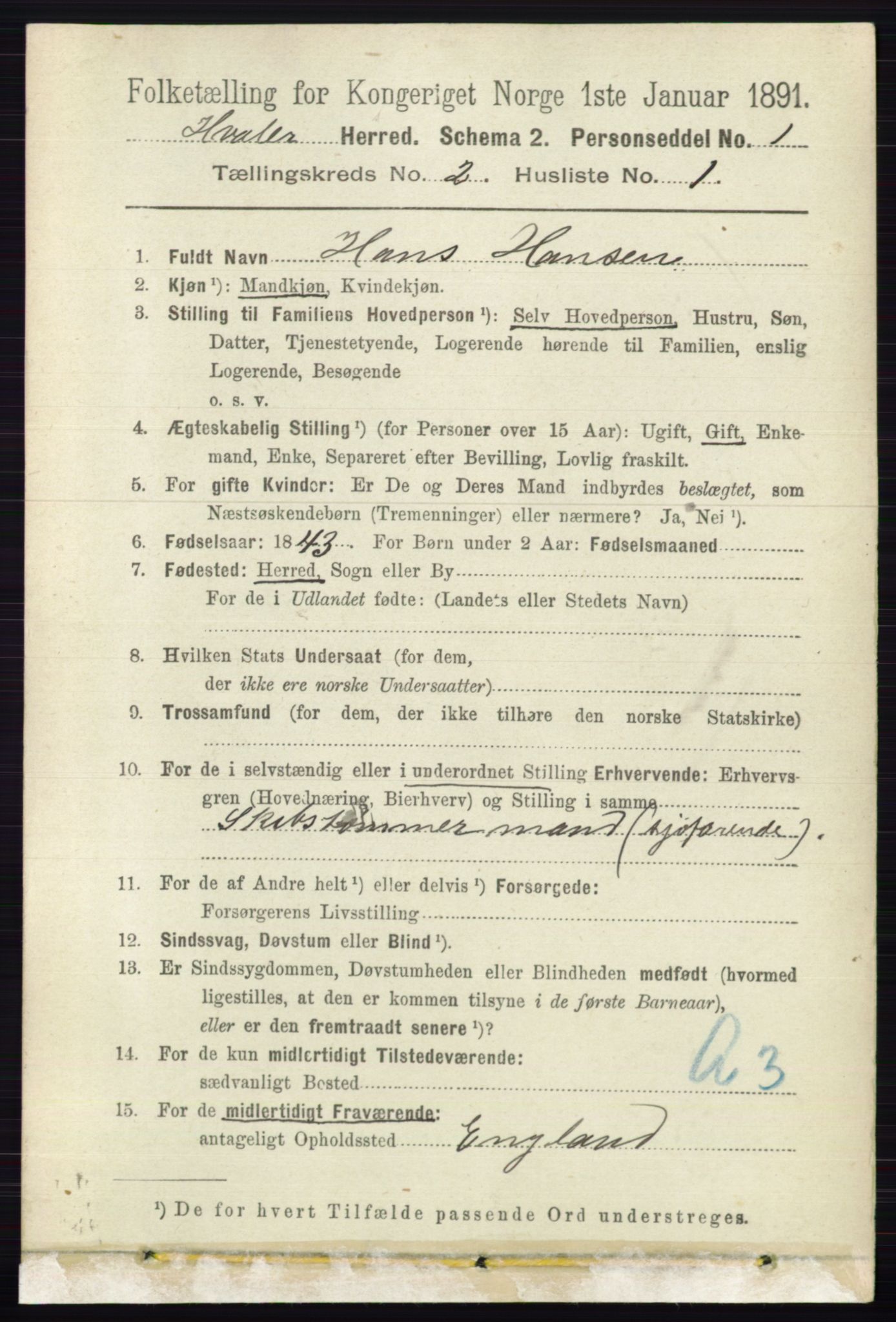 RA, 1891 census for 0111 Hvaler, 1891, p. 1005