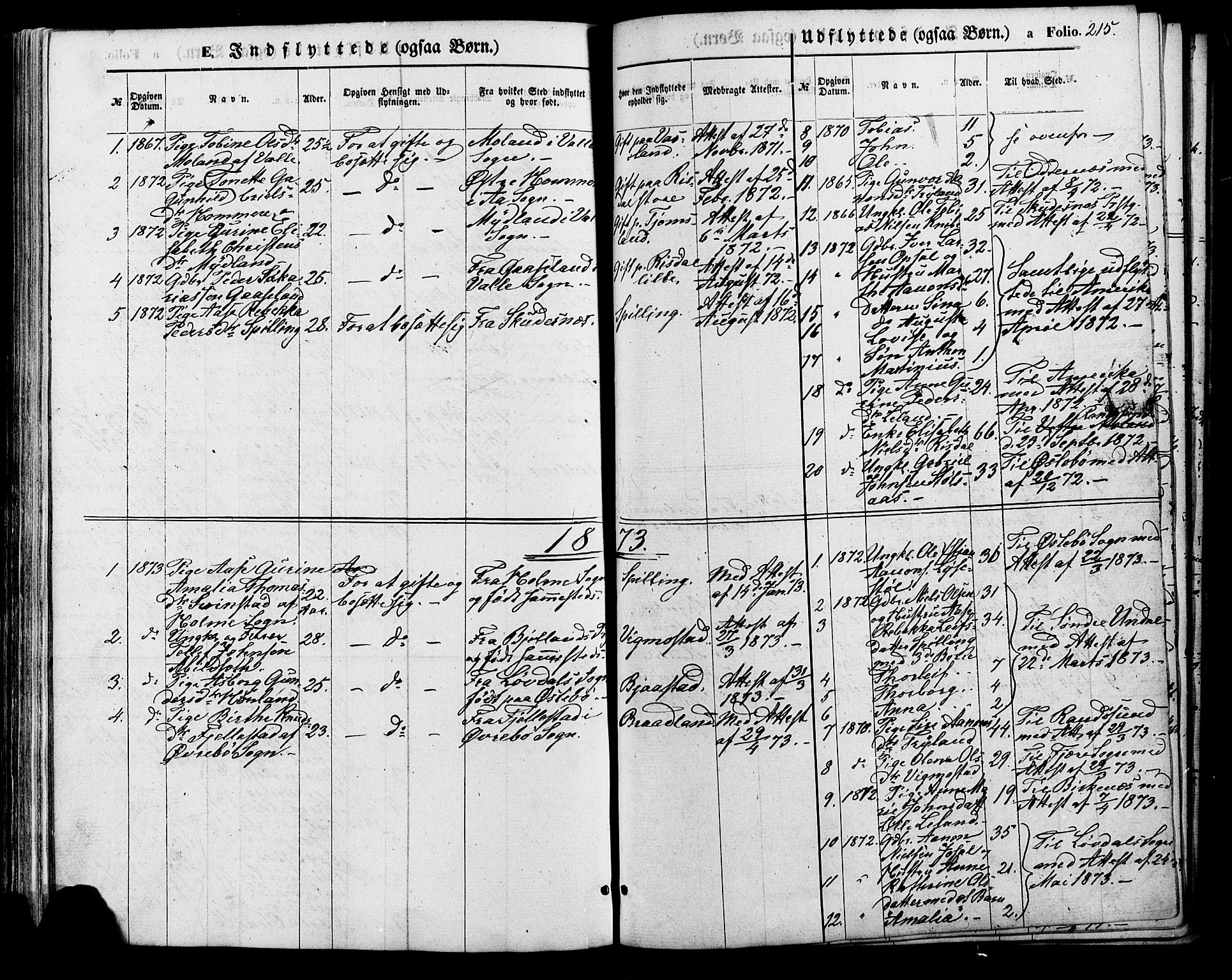 Nord-Audnedal sokneprestkontor, SAK/1111-0032/F/Fa/Fab/L0002: Parish register (official) no. A 2, 1859-1882, p. 215