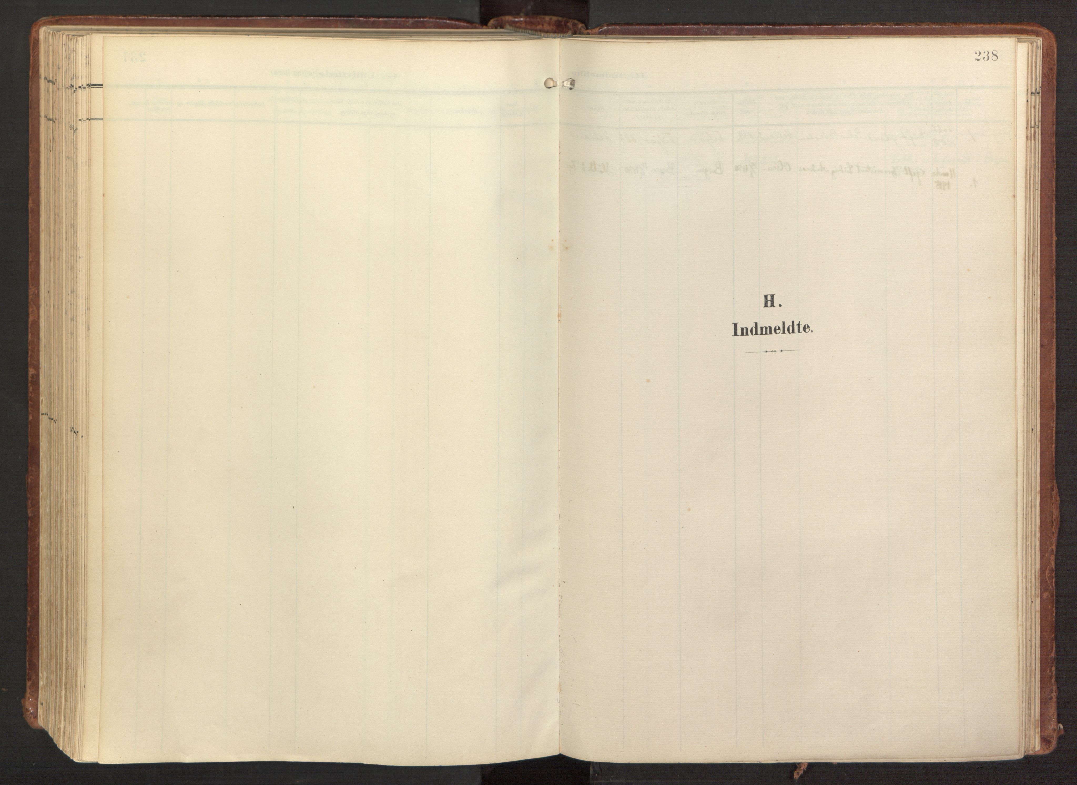 Fitjar sokneprestembete, SAB/A-99926: Parish register (official) no. A 3, 1900-1918, p. 238