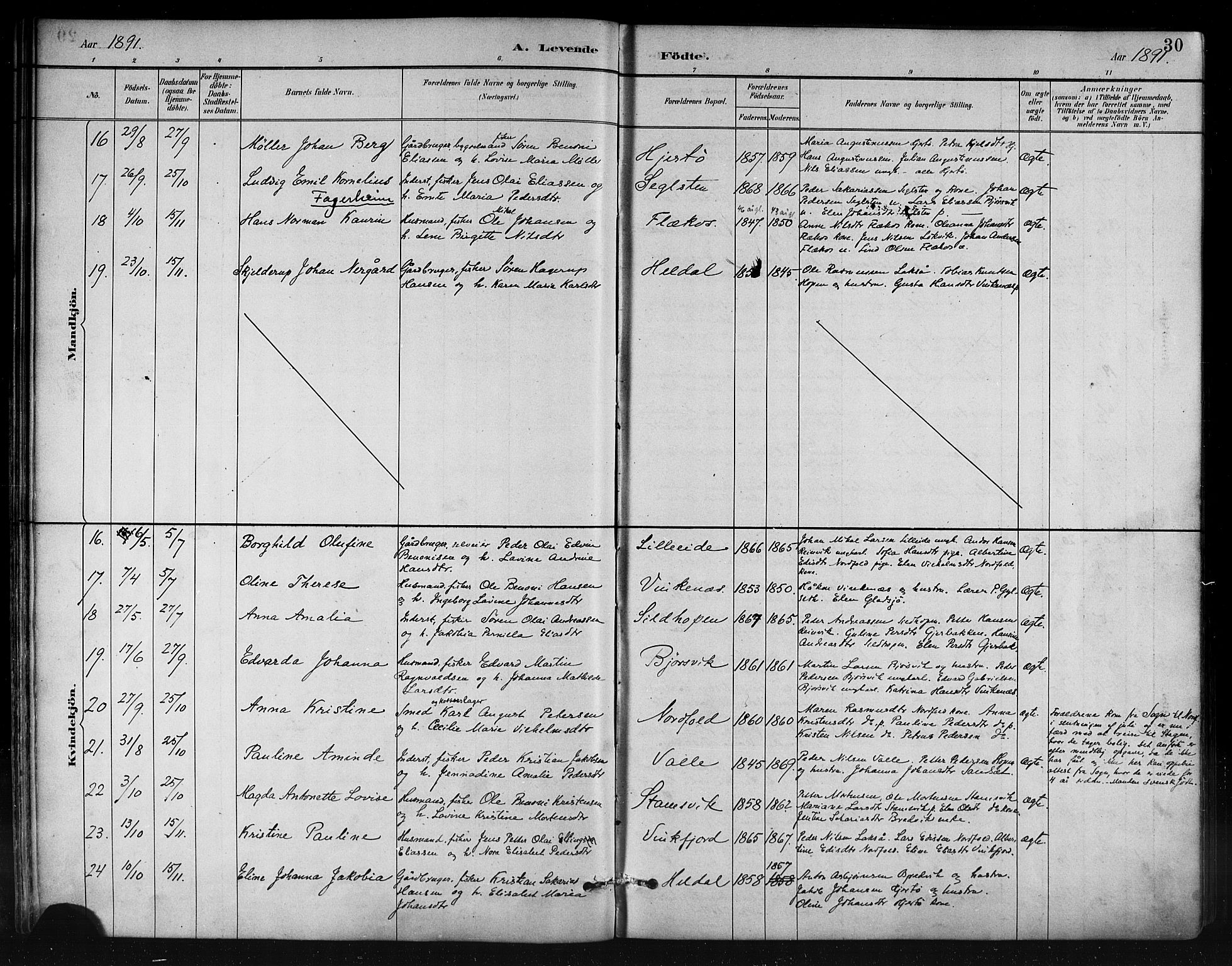 Ministerialprotokoller, klokkerbøker og fødselsregistre - Nordland, AV/SAT-A-1459/858/L0831: Parish register (official) no. 858A01, 1884-1902, p. 30