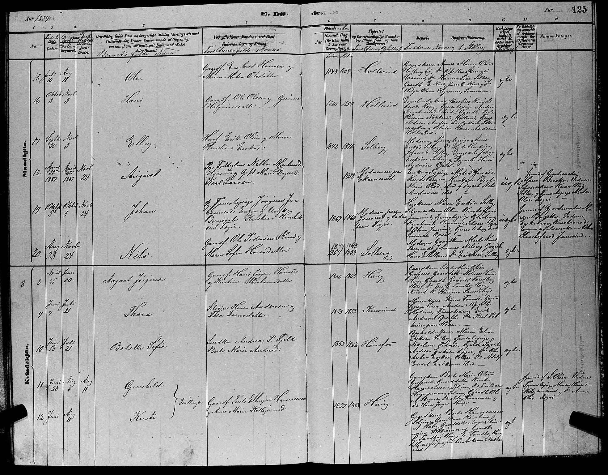 Hole kirkebøker, AV/SAKO-A-228/G/Gb/L0002: Parish register (copy) no. II 2, 1878-1889, p. 125