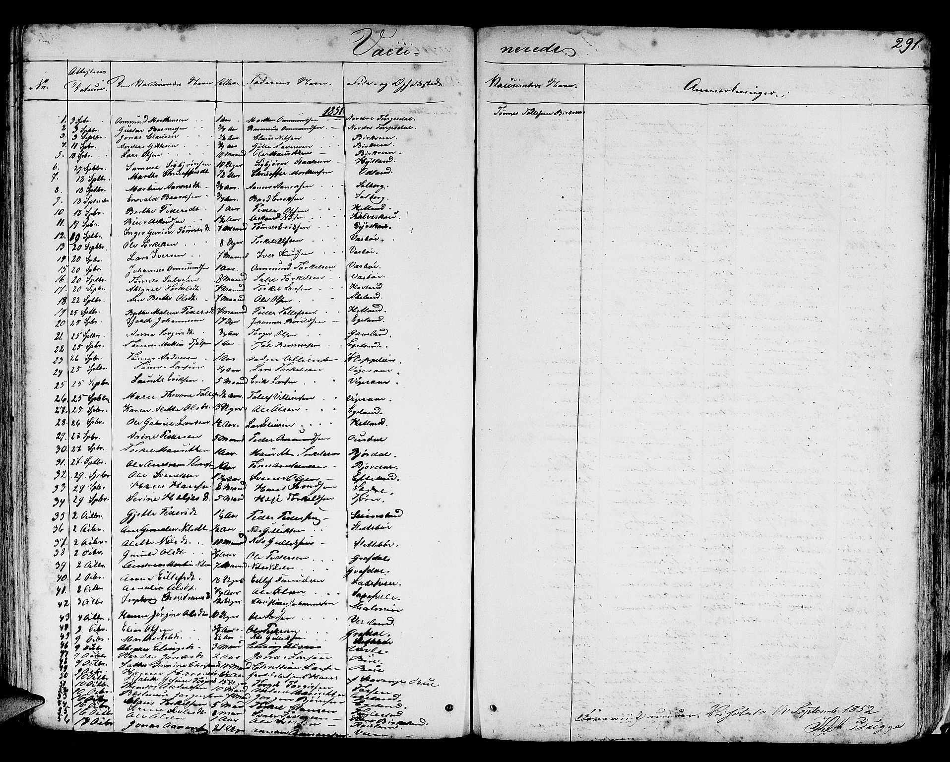 Helleland sokneprestkontor, SAST/A-101810: Parish register (copy) no. B 3, 1847-1886, p. 291