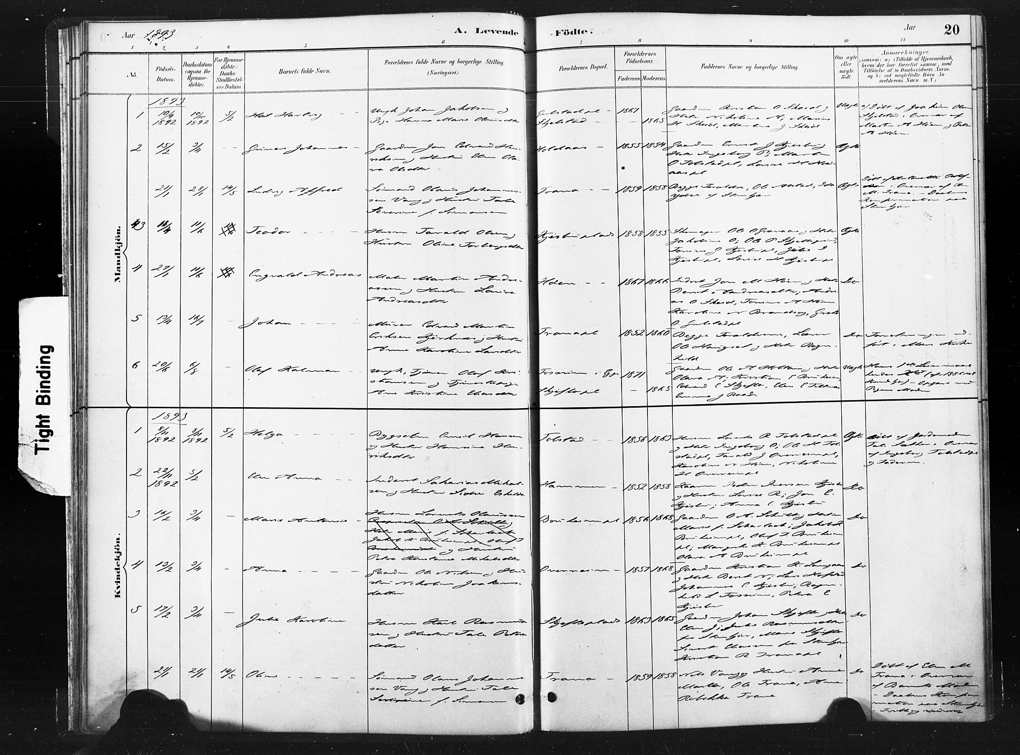 Ministerialprotokoller, klokkerbøker og fødselsregistre - Nord-Trøndelag, SAT/A-1458/736/L0361: Parish register (official) no. 736A01, 1884-1906, p. 20