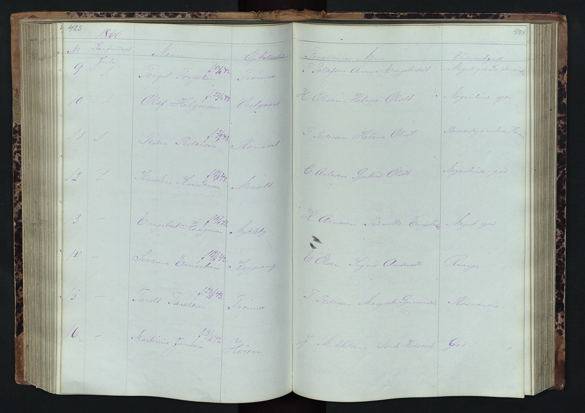 Stor-Elvdal prestekontor, SAH/PREST-052/H/Ha/Hab/L0001: Parish register (copy) no. 1 /1, 1860-1894, p. 423-424