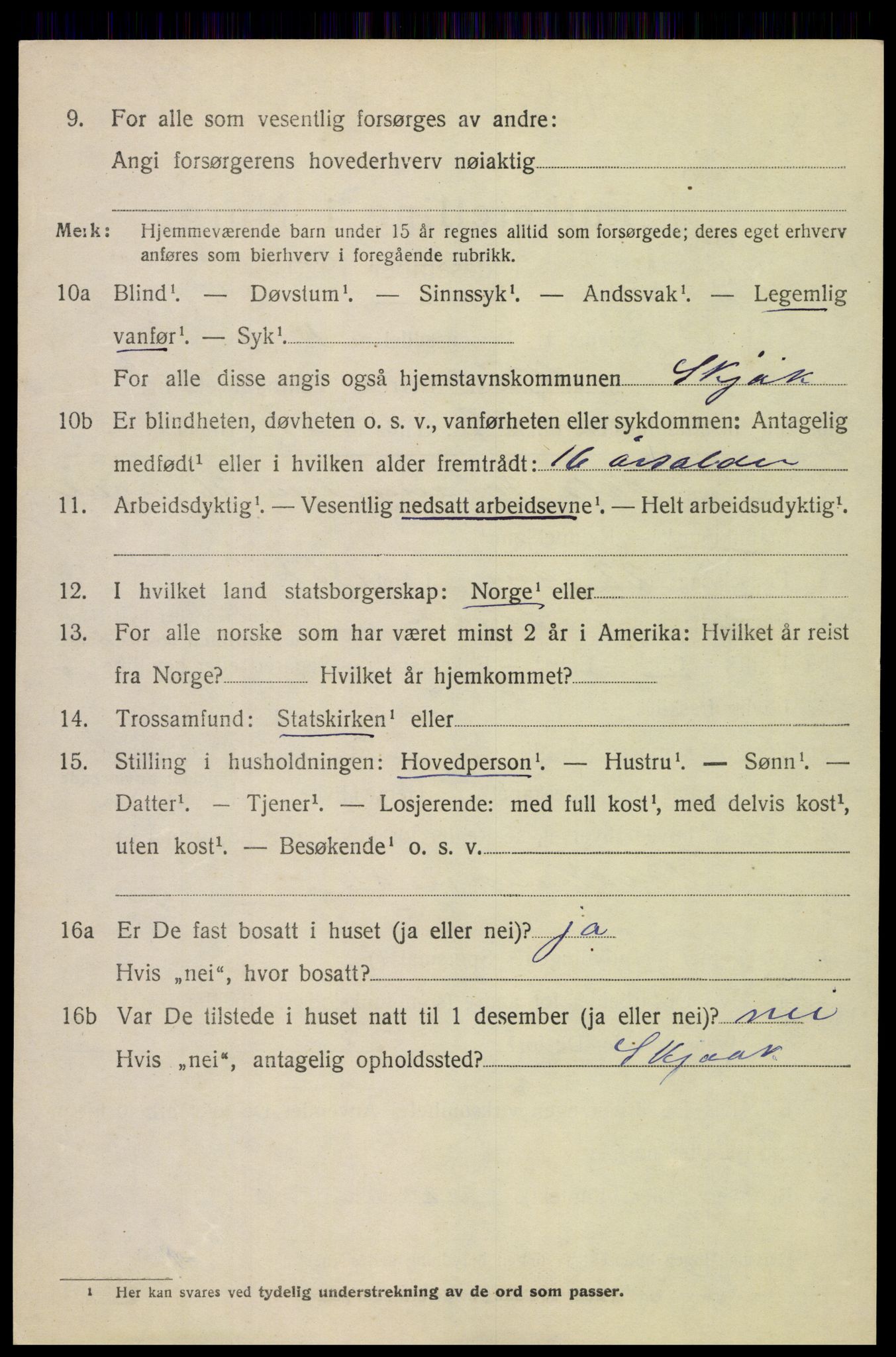 SAH, 1920 census for Skjåk, 1920, p. 4197