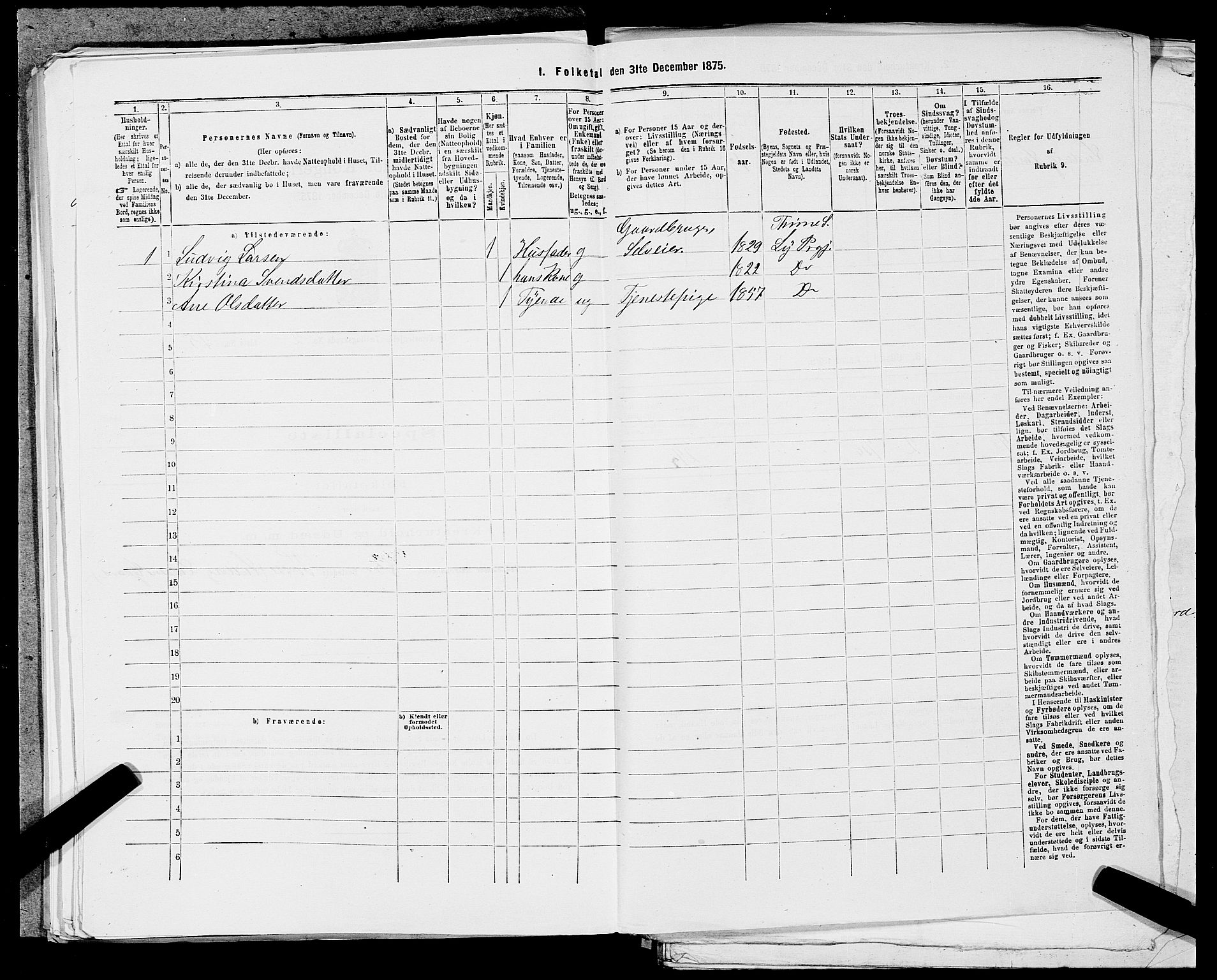 SAST, 1875 census for 1121P Lye, 1875, p. 321