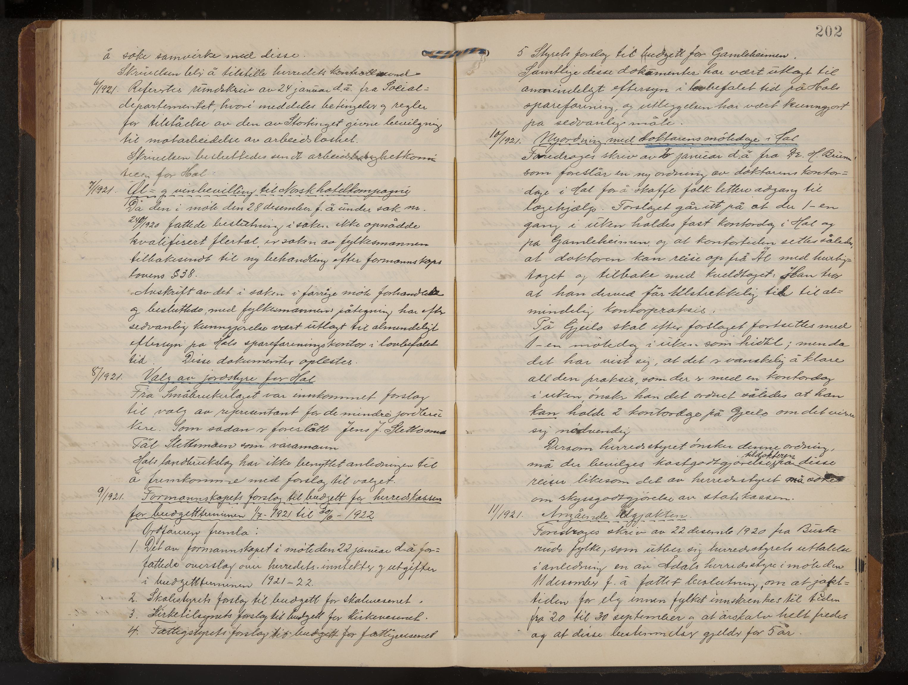 Hol formannskap og sentraladministrasjon, IKAK/0620021-1/A/L0006: Møtebok, 1916-1922, p. 202