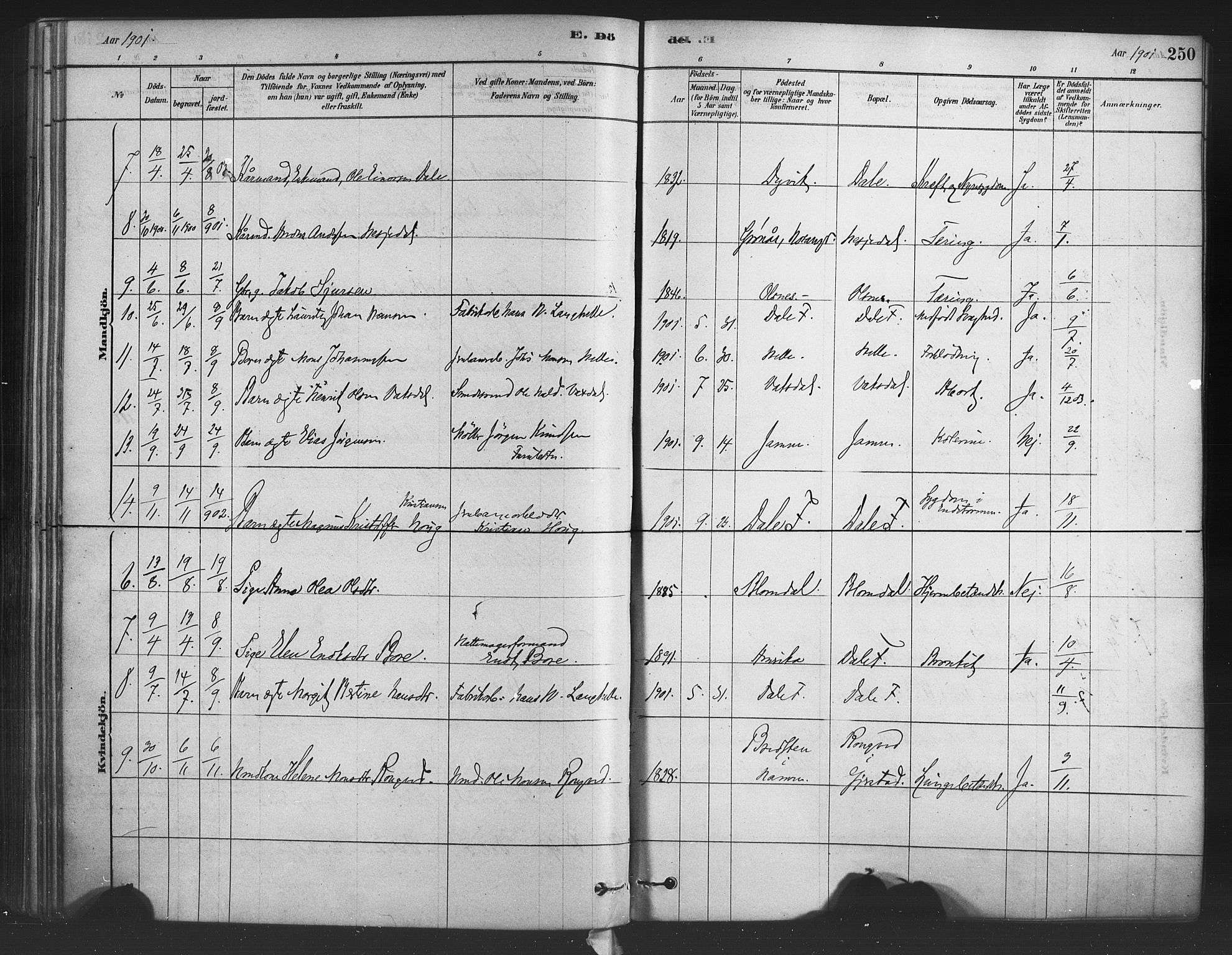 Bruvik Sokneprestembete, AV/SAB-A-74701/H/Haa: Parish register (official) no. B 1, 1878-1904, p. 250