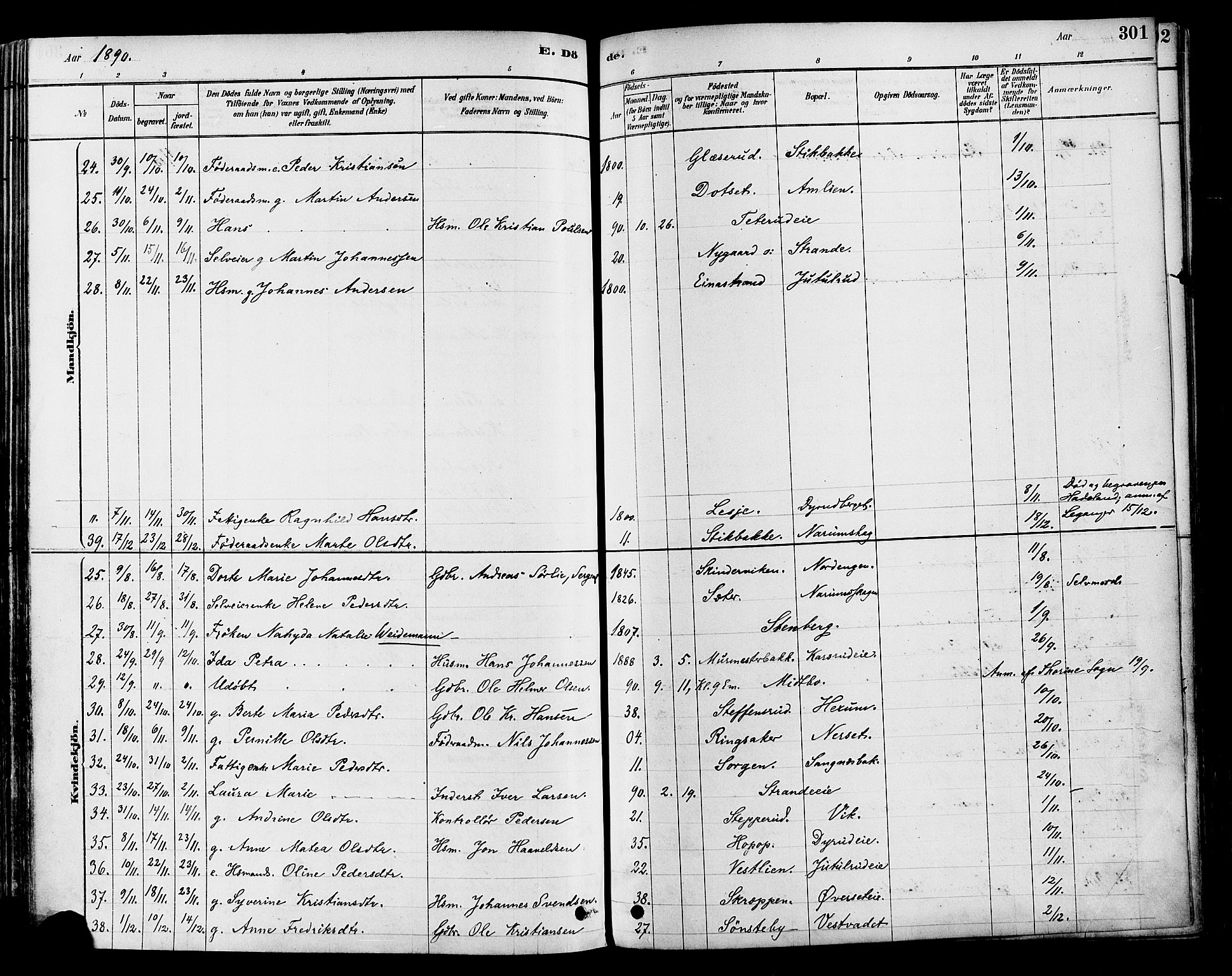 Vestre Toten prestekontor, SAH/PREST-108/H/Ha/Haa/L0009: Parish register (official) no. 9, 1878-1894, p. 301