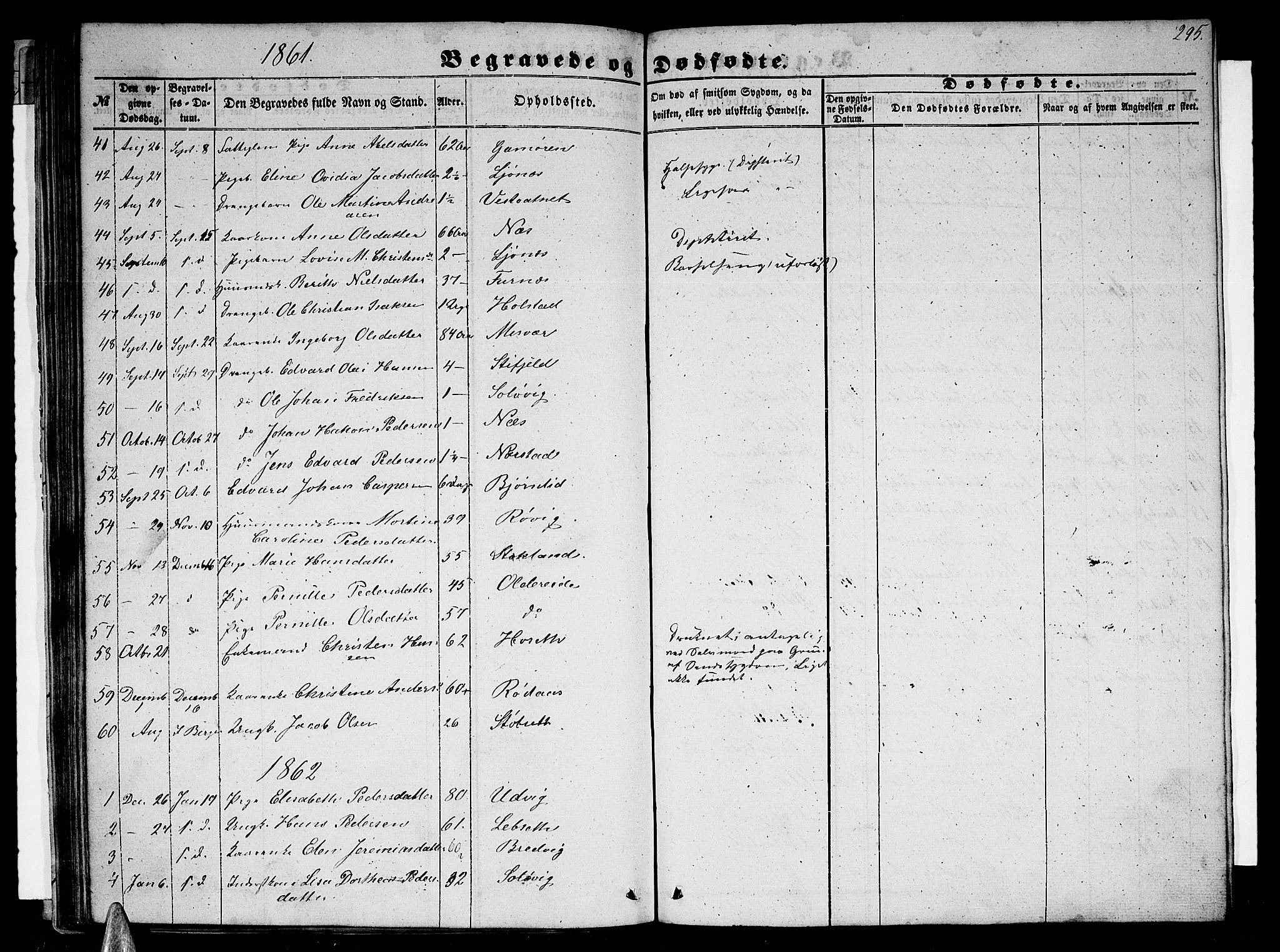 Ministerialprotokoller, klokkerbøker og fødselsregistre - Nordland, AV/SAT-A-1459/852/L0753: Parish register (copy) no. 852C04, 1856-1877, p. 295