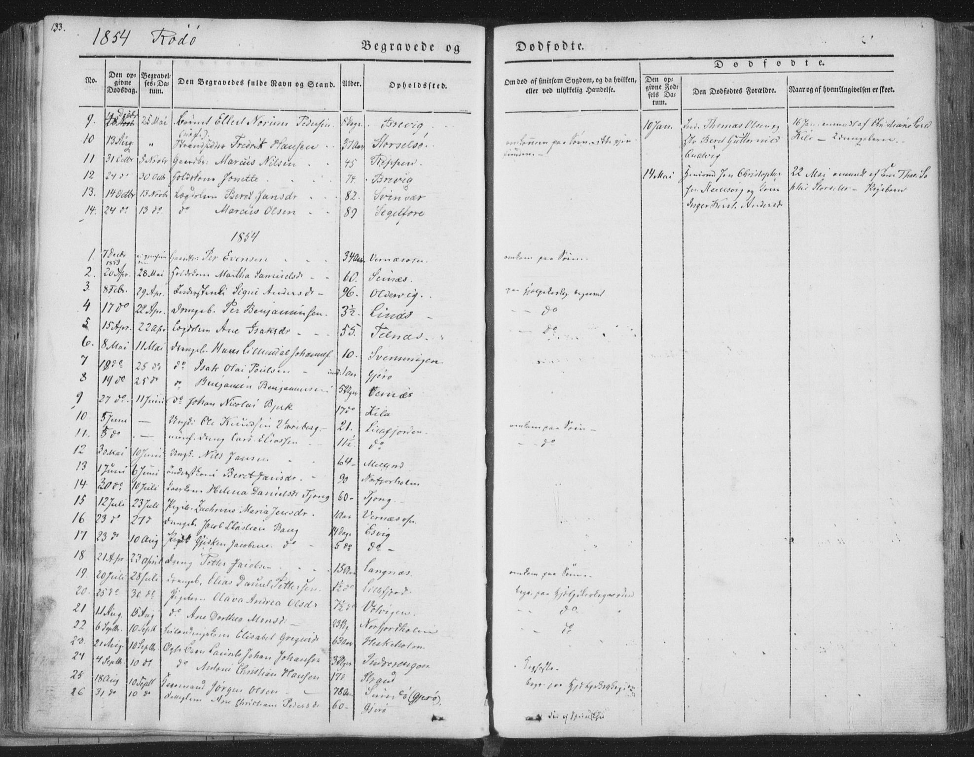 Ministerialprotokoller, klokkerbøker og fødselsregistre - Nordland, SAT/A-1459/841/L0604: Parish register (official) no. 841A09 /1, 1845-1862, p. 133