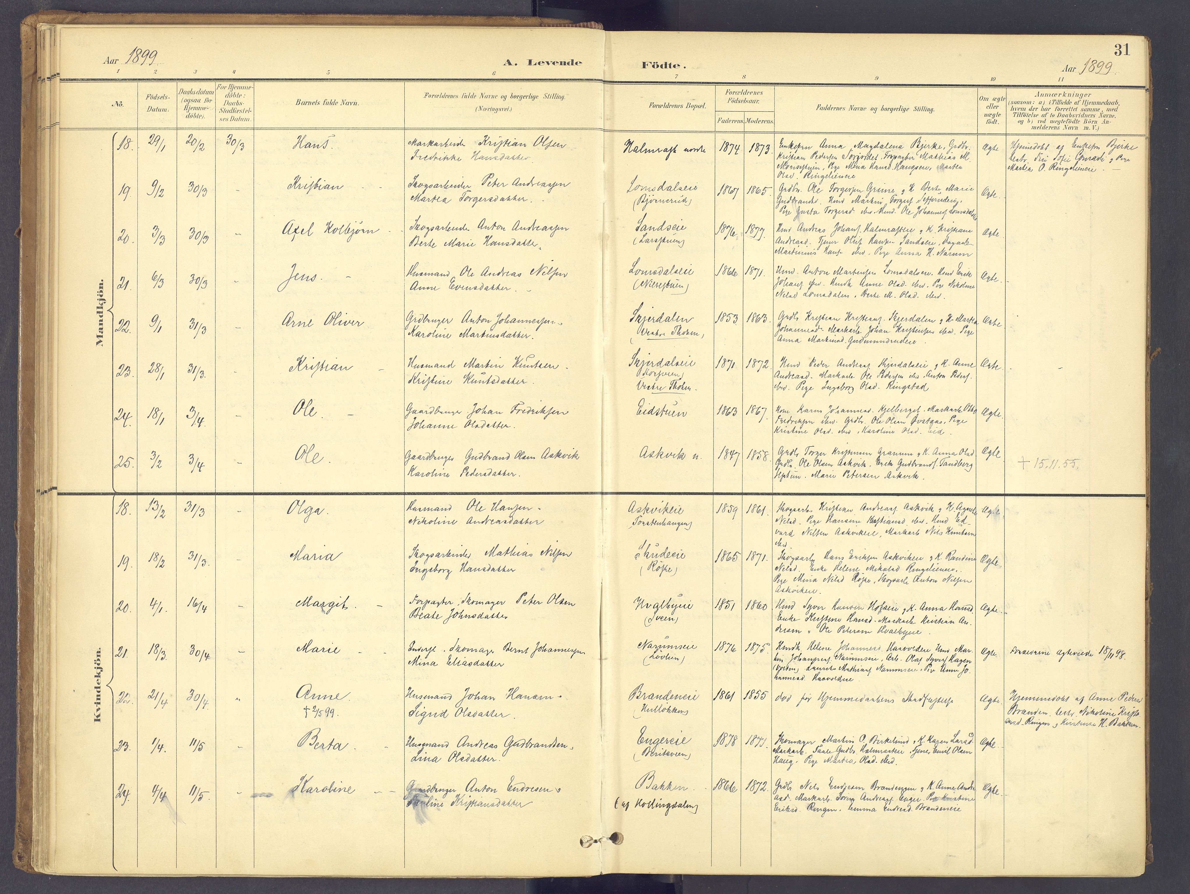 Søndre Land prestekontor, AV/SAH-PREST-122/K/L0006: Parish register (official) no. 6, 1895-1904, p. 31