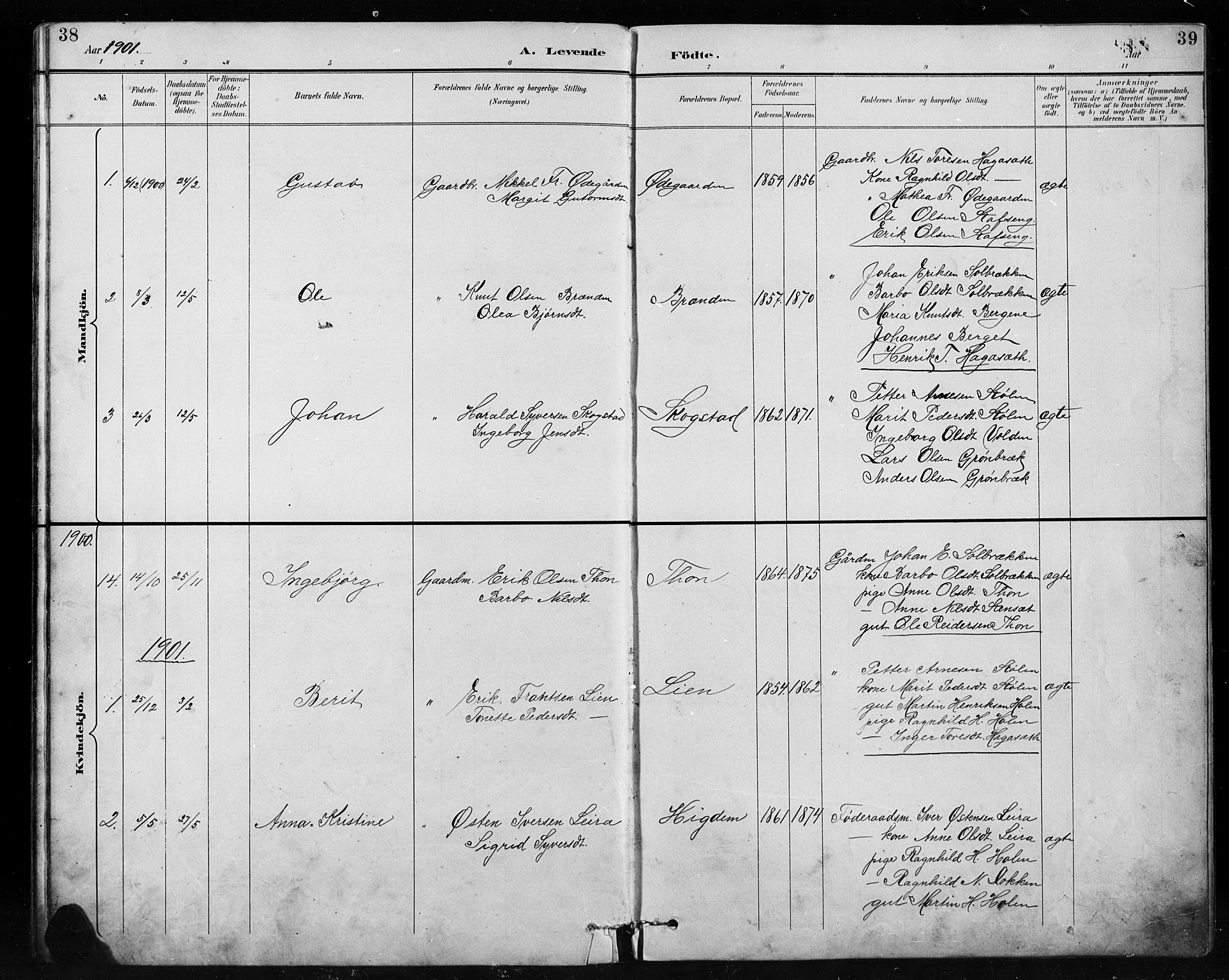 Etnedal prestekontor, SAH/PREST-130/H/Ha/Hab/Habb/L0001: Parish register (copy) no. II 1, 1894-1911, p. 38-39