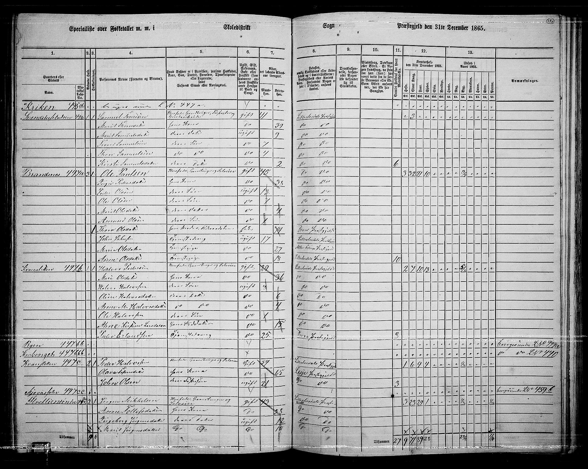 RA, 1865 census for Lille Elvedalen, 1865, p. 110