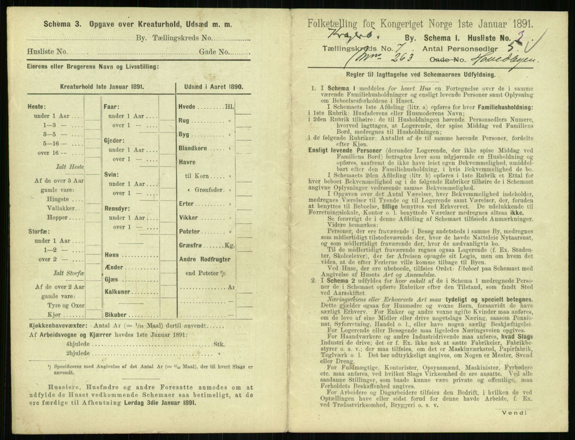 RA, 1891 census for 0801 Kragerø, 1891, p. 520