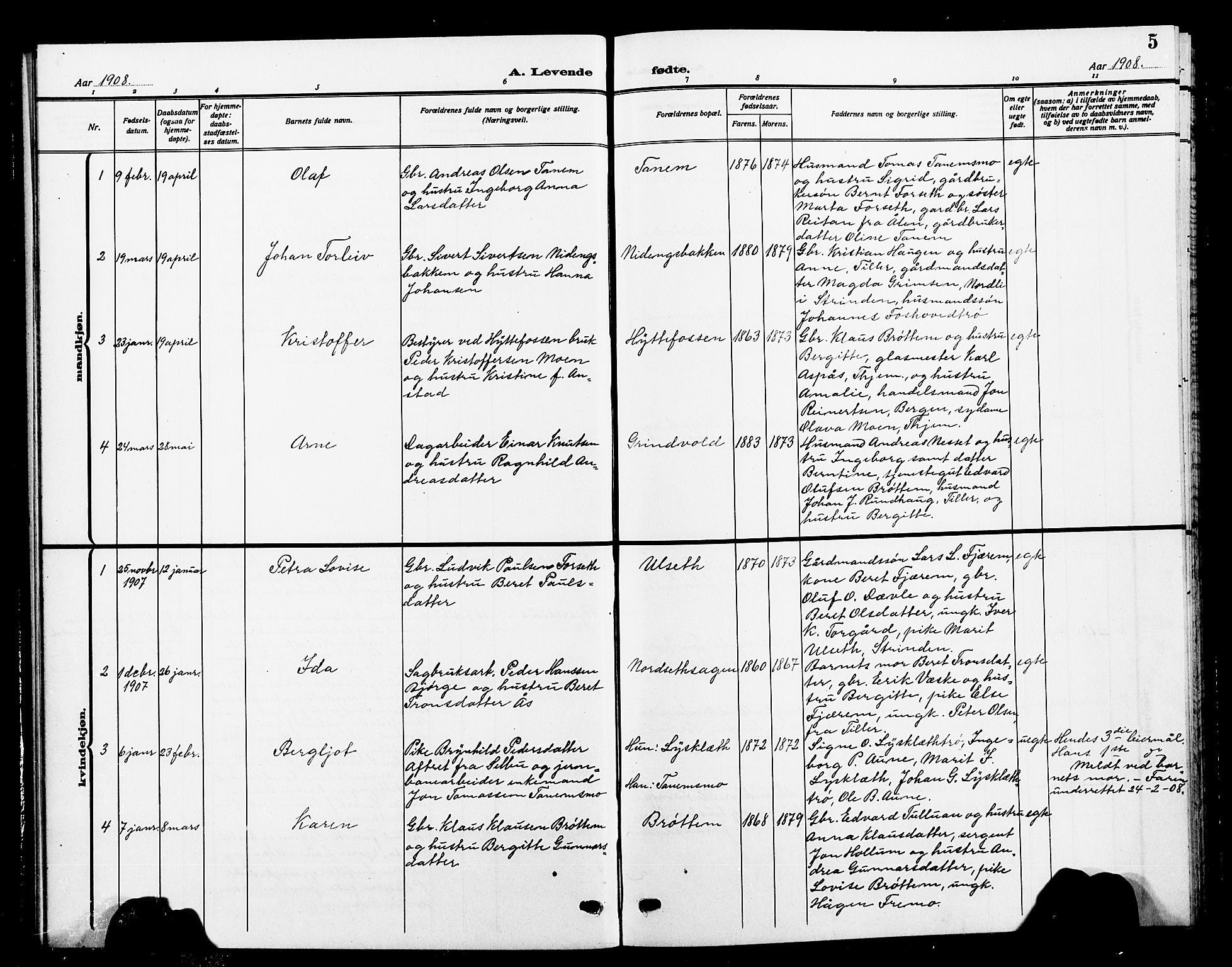 Ministerialprotokoller, klokkerbøker og fødselsregistre - Sør-Trøndelag, SAT/A-1456/618/L0453: Parish register (copy) no. 618C04, 1907-1925, p. 5
