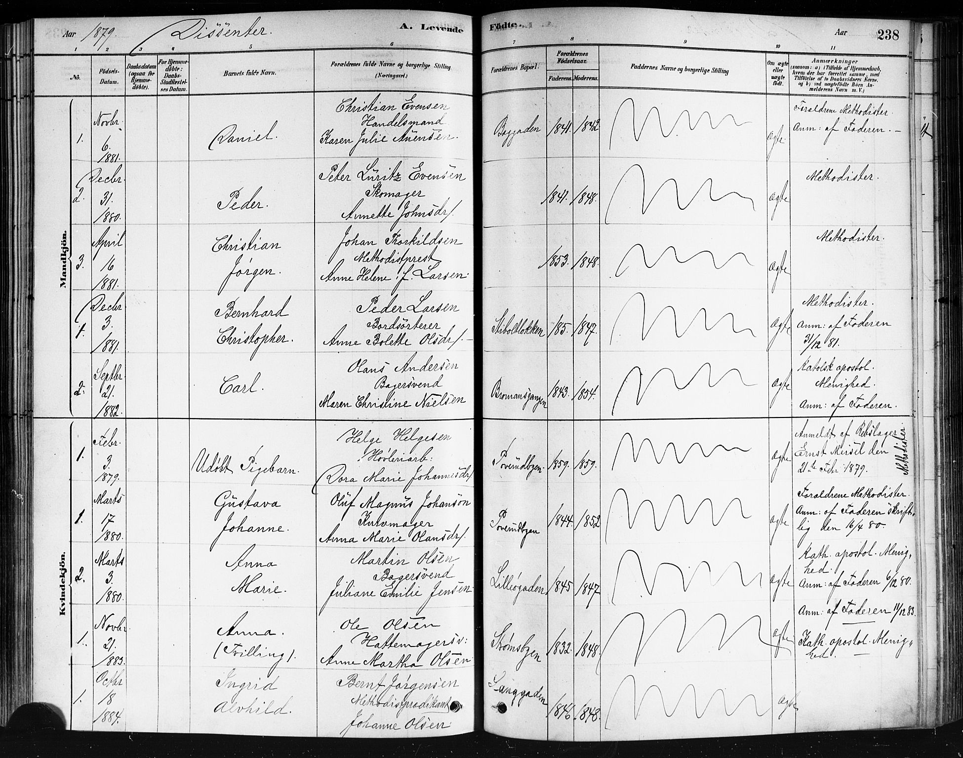 Strømsø kirkebøker, AV/SAKO-A-246/F/Fa/L0021: Parish register (official) no. I 21, 1878-1885, p. 238