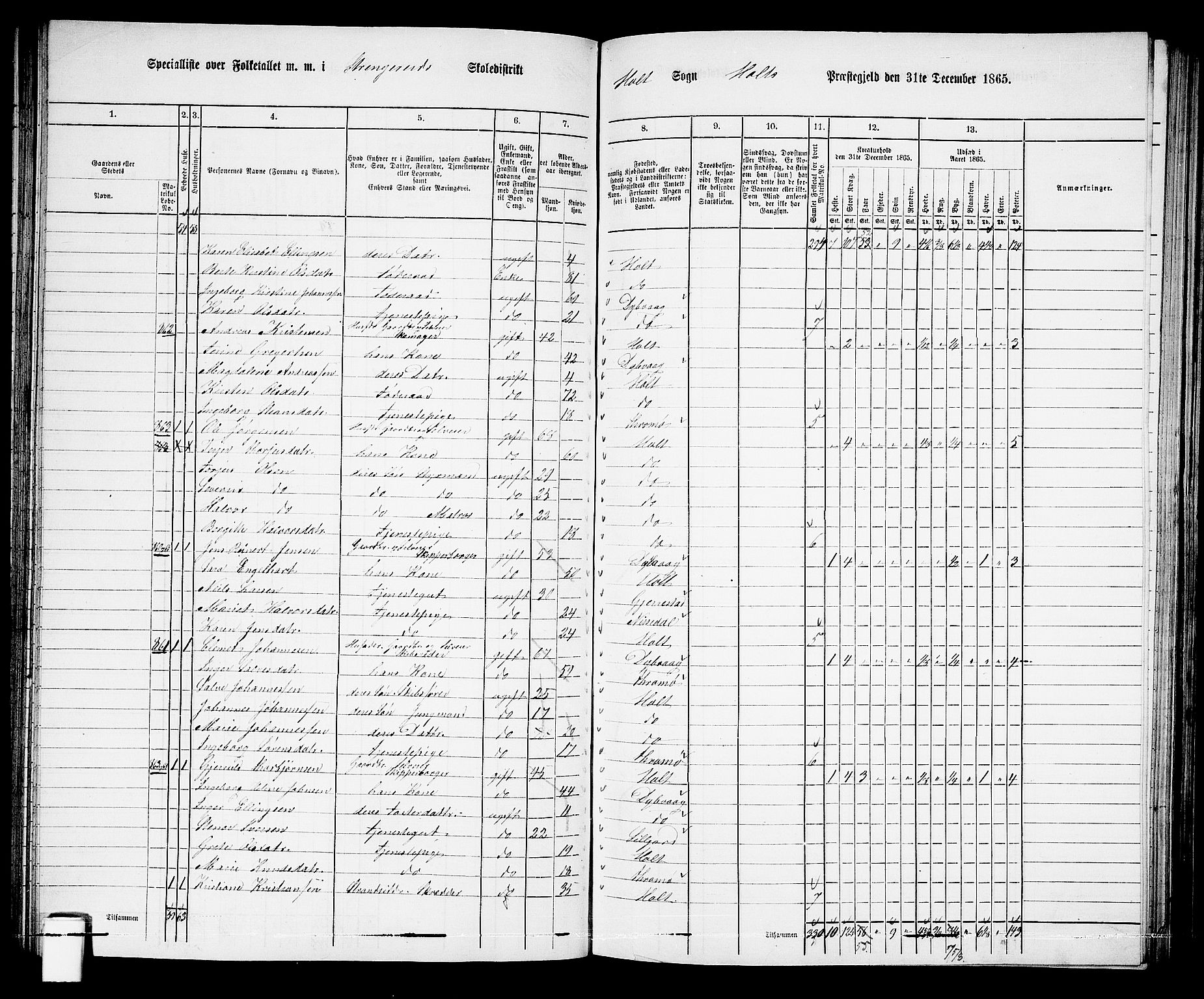 RA, 1865 census for Holt/Holt, 1865, p. 80