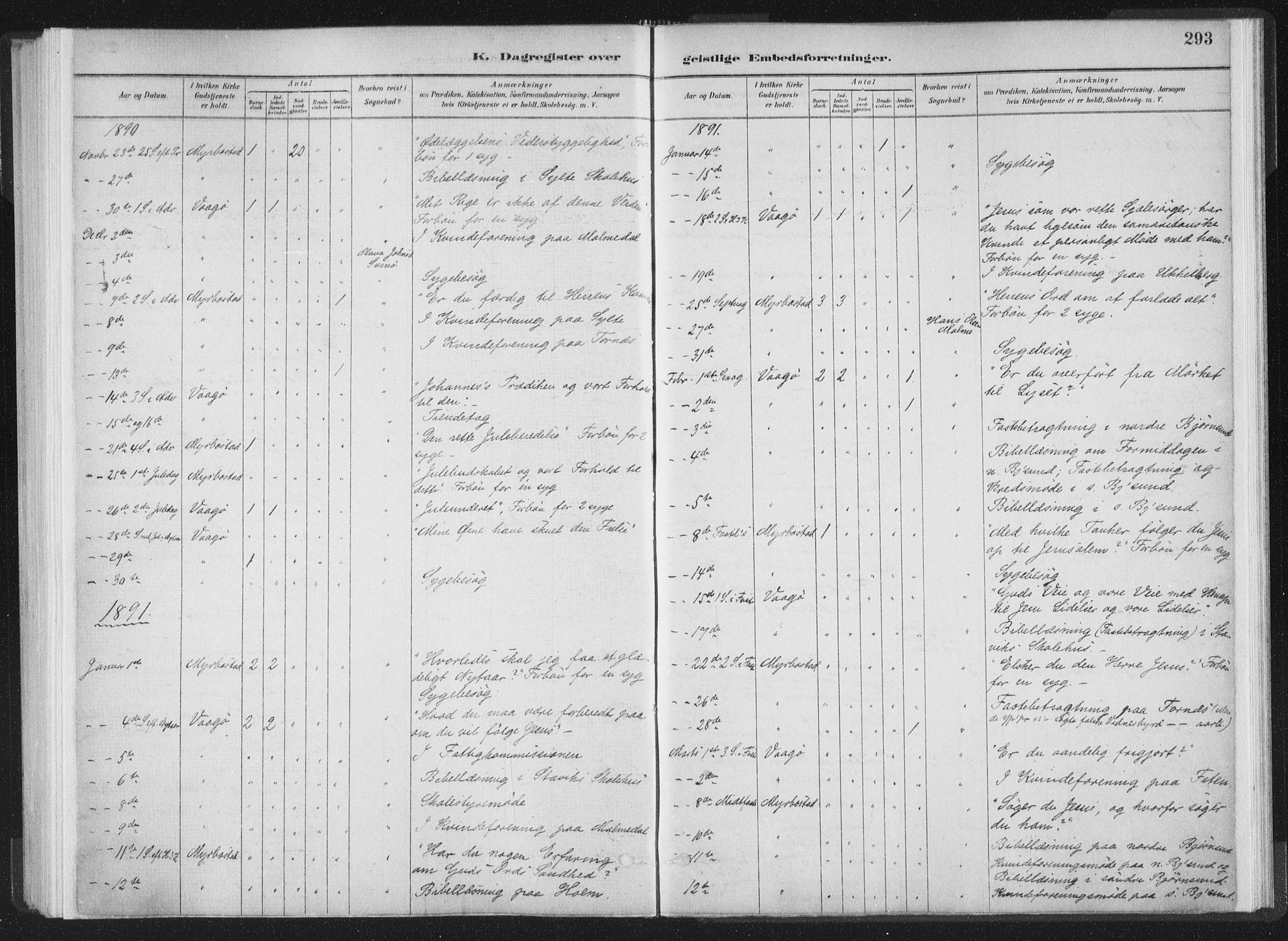 Ministerialprotokoller, klokkerbøker og fødselsregistre - Møre og Romsdal, AV/SAT-A-1454/564/L0740: Parish register (official) no. 564A01, 1880-1899, p. 293