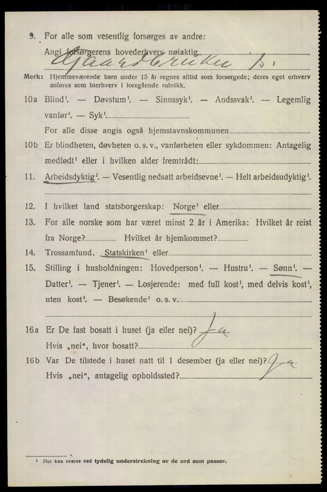 SAKO, 1920 census for Sande, 1920, p. 4229