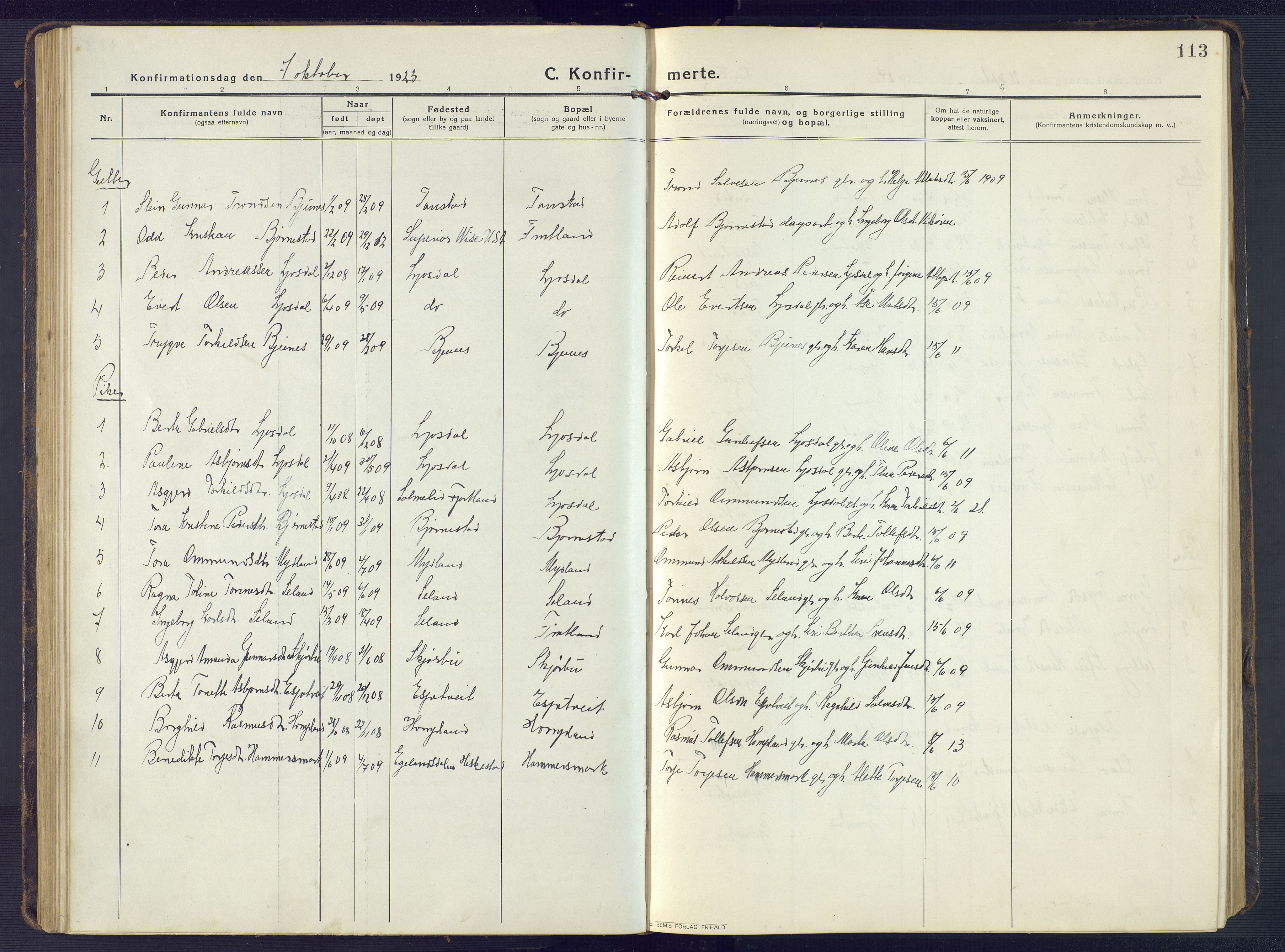 Sirdal sokneprestkontor, SAK/1111-0036/F/Fb/Fbb/L0005: Parish register (copy) no. B 5, 1916-1960, p. 113