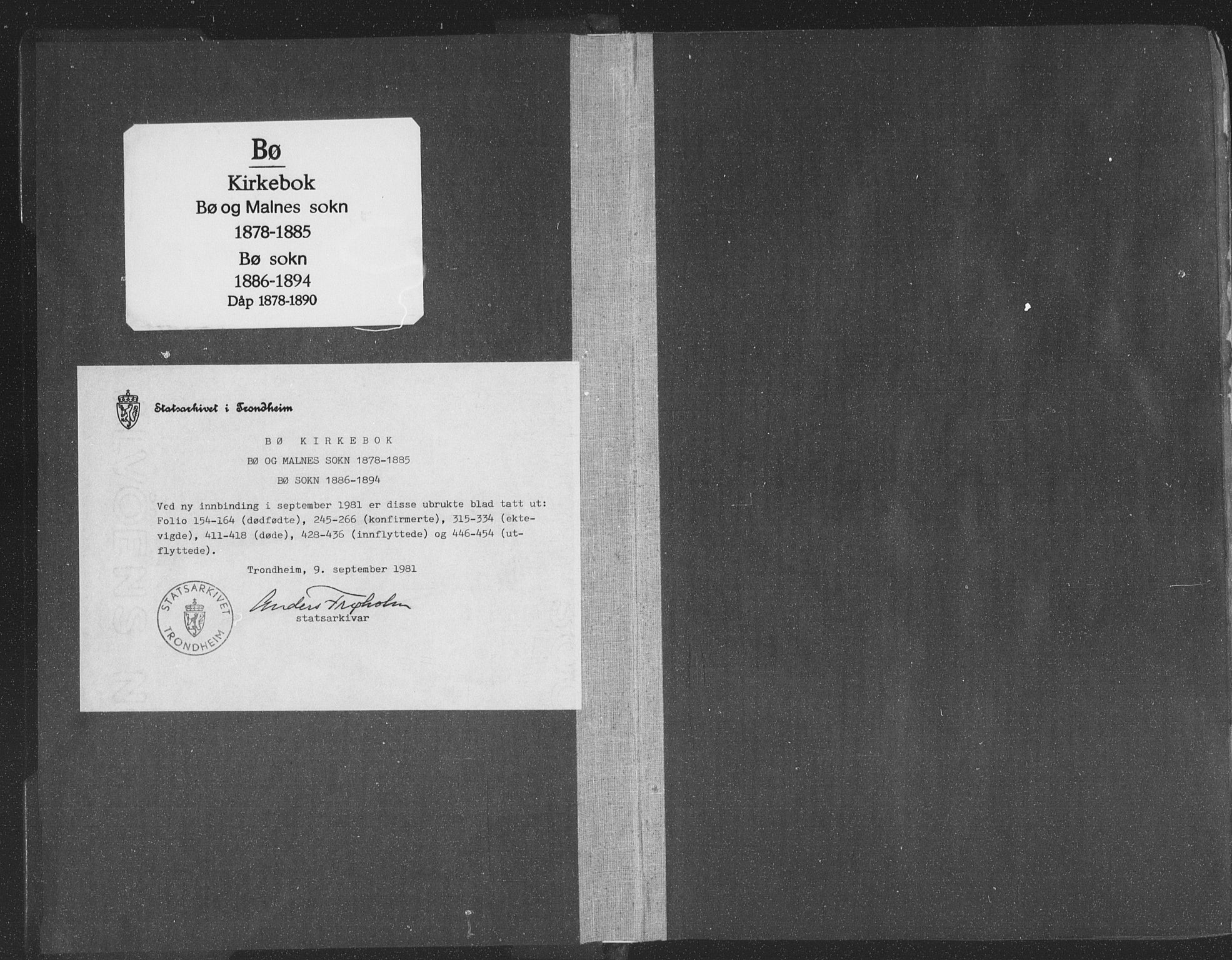 Ministerialprotokoller, klokkerbøker og fødselsregistre - Nordland, AV/SAT-A-1459/891/L1302: Parish register (official) no. 891A07, 1878-1895