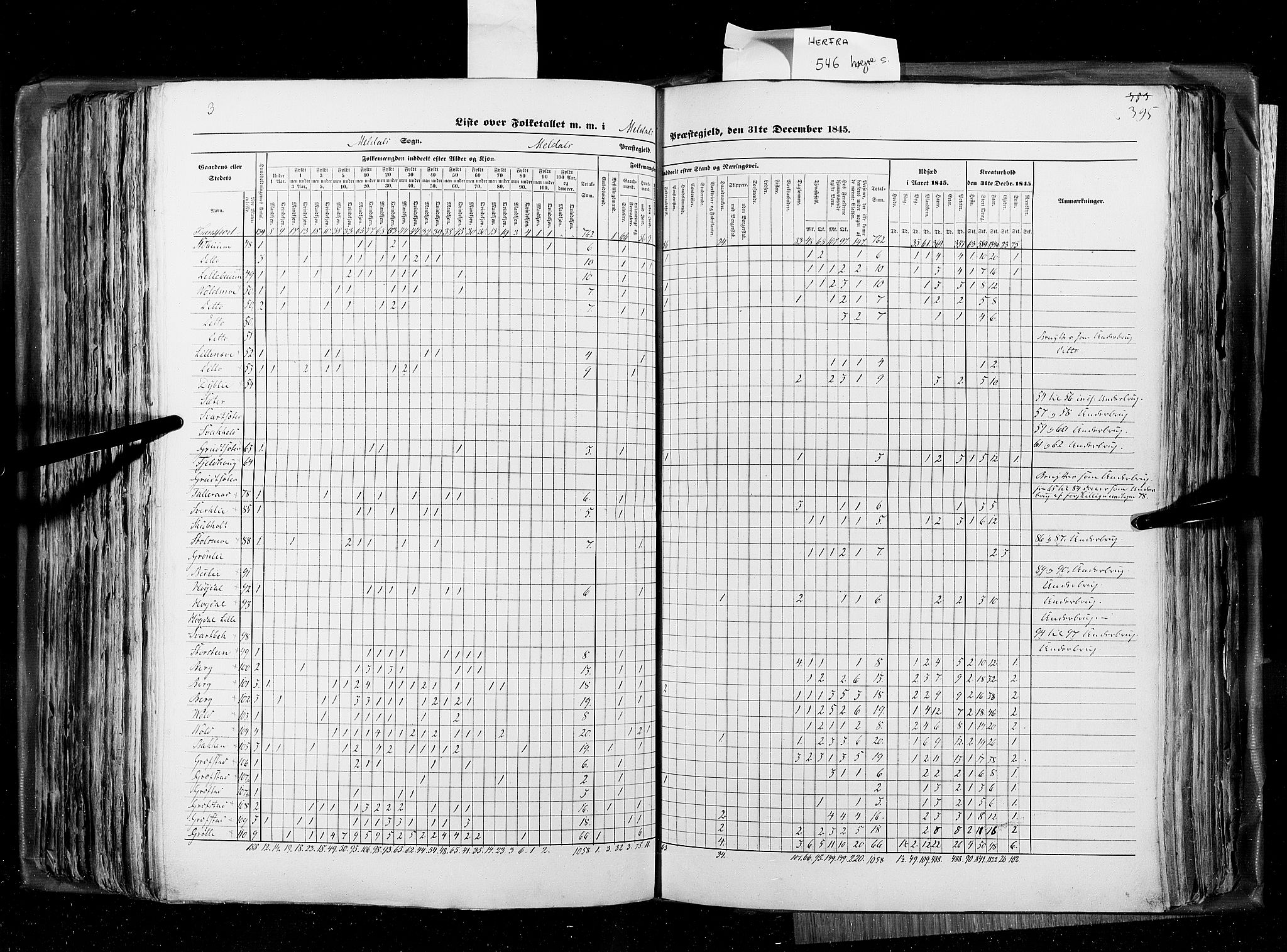 RA, Census 1845, vol. 8: Romsdal amt og Søndre Trondhjems amt, 1845, p. 395