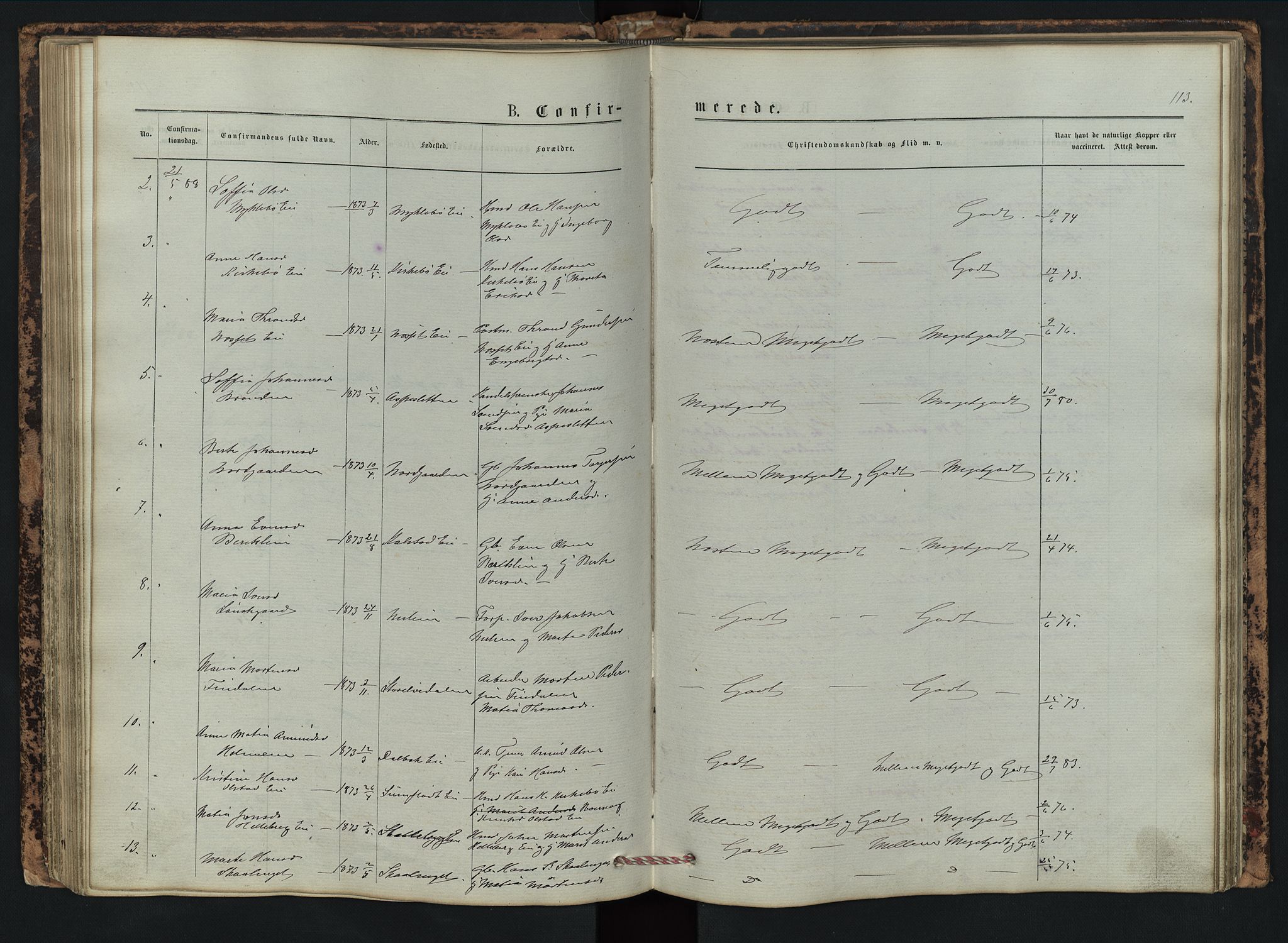 Vestre Gausdal prestekontor, SAH/PREST-094/H/Ha/Hab/L0002: Parish register (copy) no. 2, 1874-1897, p. 113