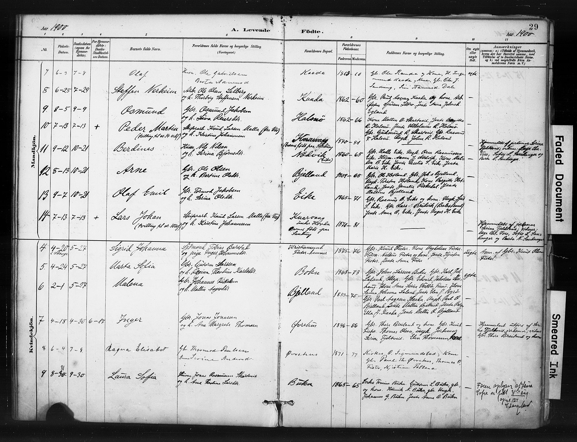 Hjelmeland sokneprestkontor, SAST/A-101843/01/IV/L0015: Parish register (official) no. A 15, 1887-1910, p. 29