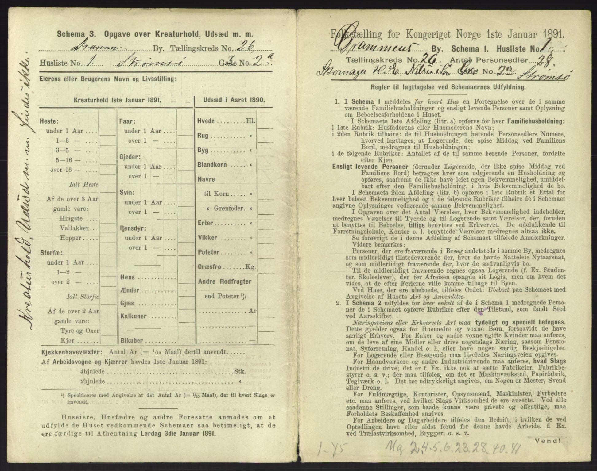 RA, 1891 census for 0602 Drammen, 1891, p. 2171