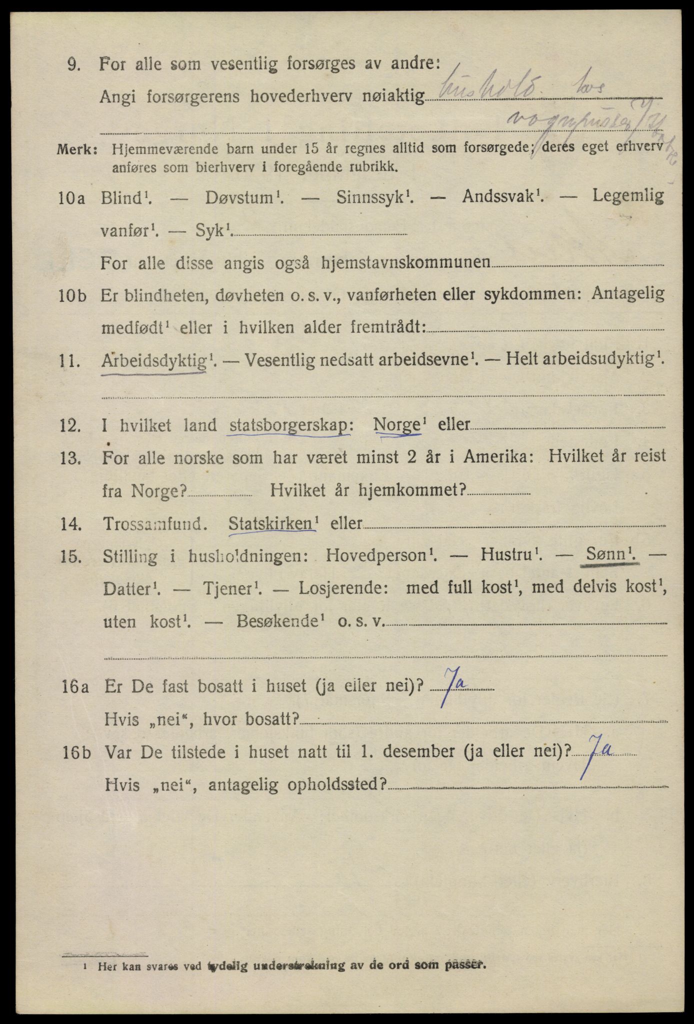 SAO, 1920 census for Aker, 1920, p. 106913