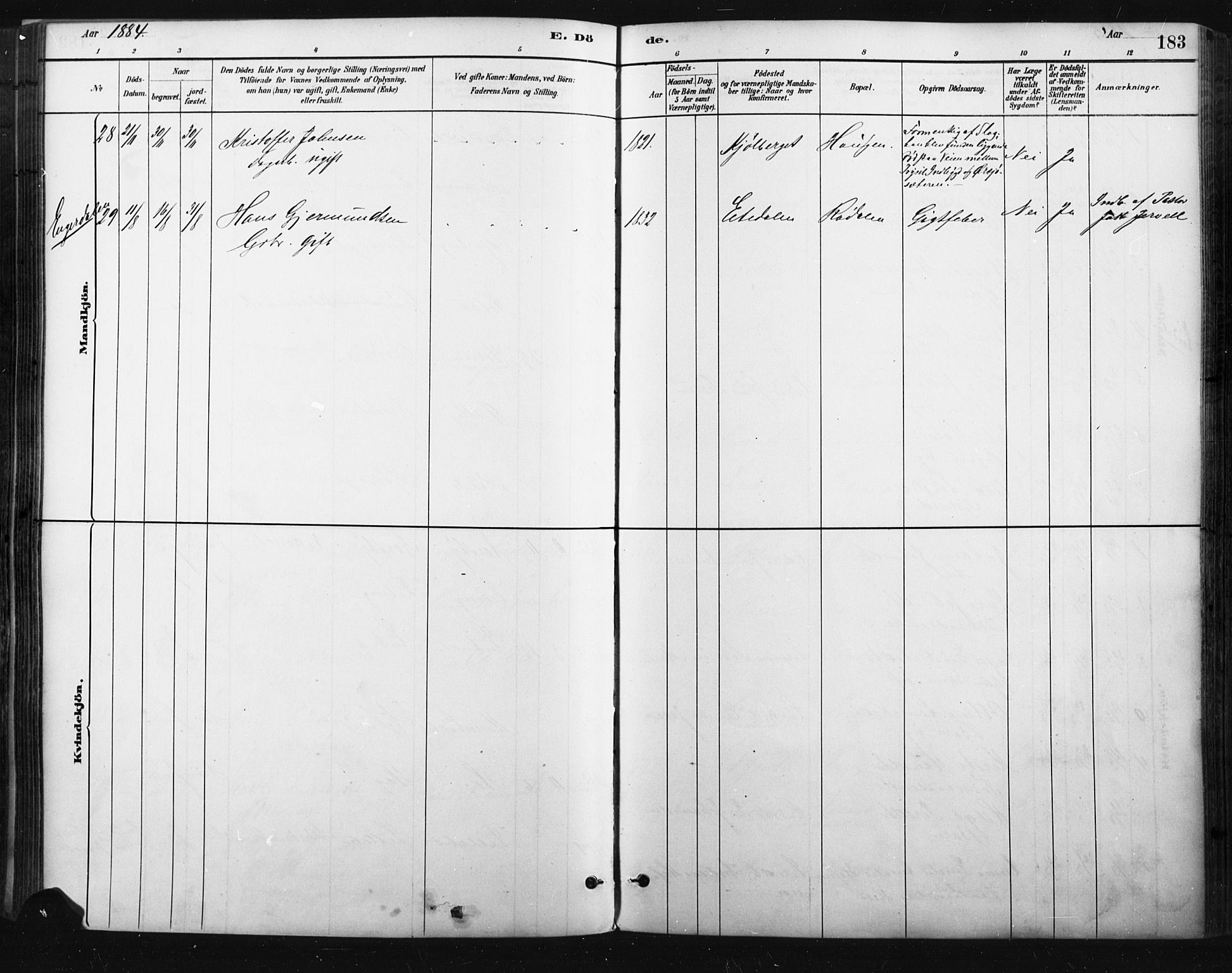 Trysil prestekontor, SAH/PREST-046/H/Ha/Haa/L0009: Parish register (official) no. 9, 1881-1897, p. 183