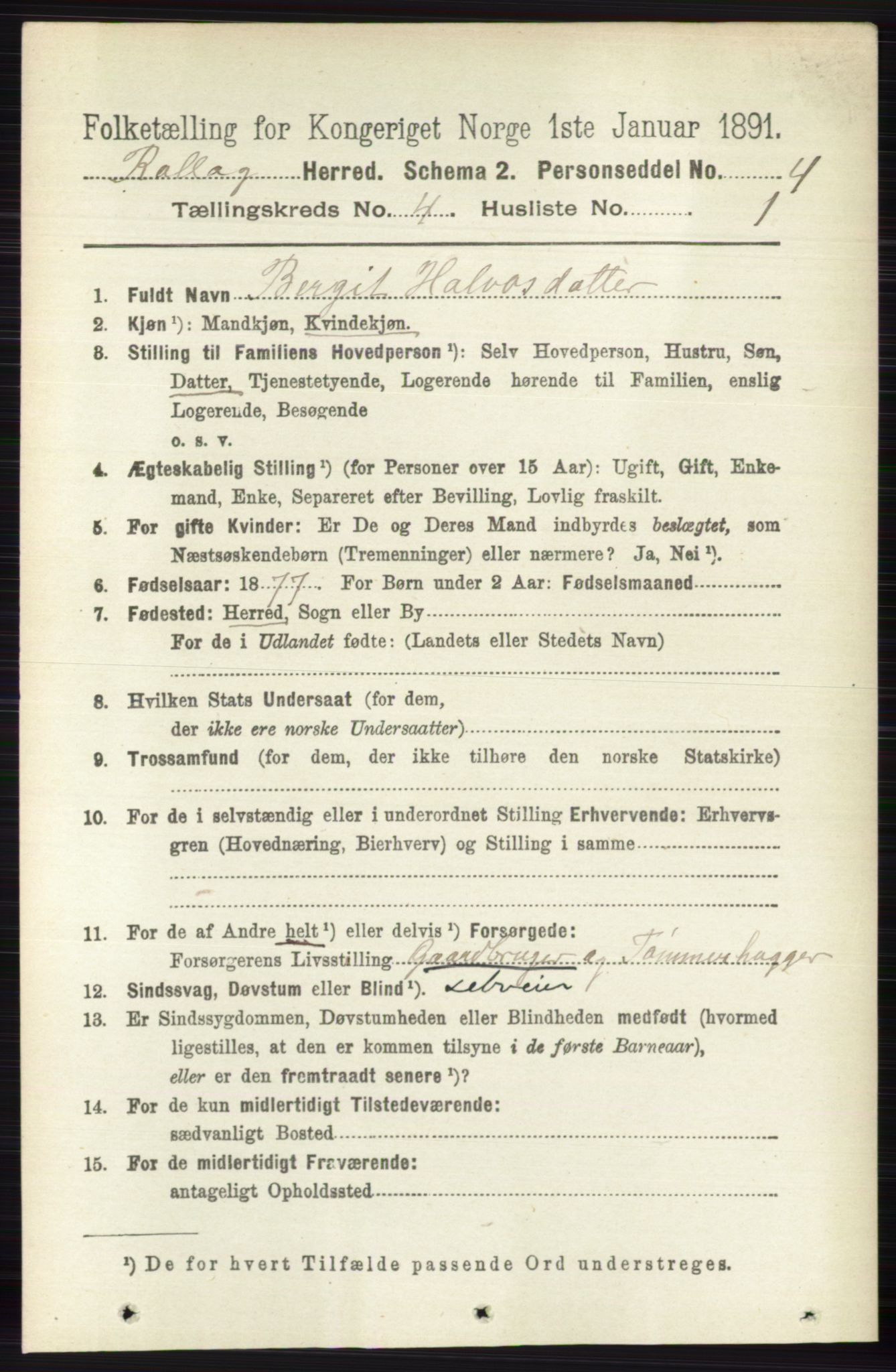 RA, 1891 census for 0632 Rollag, 1891, p. 1285