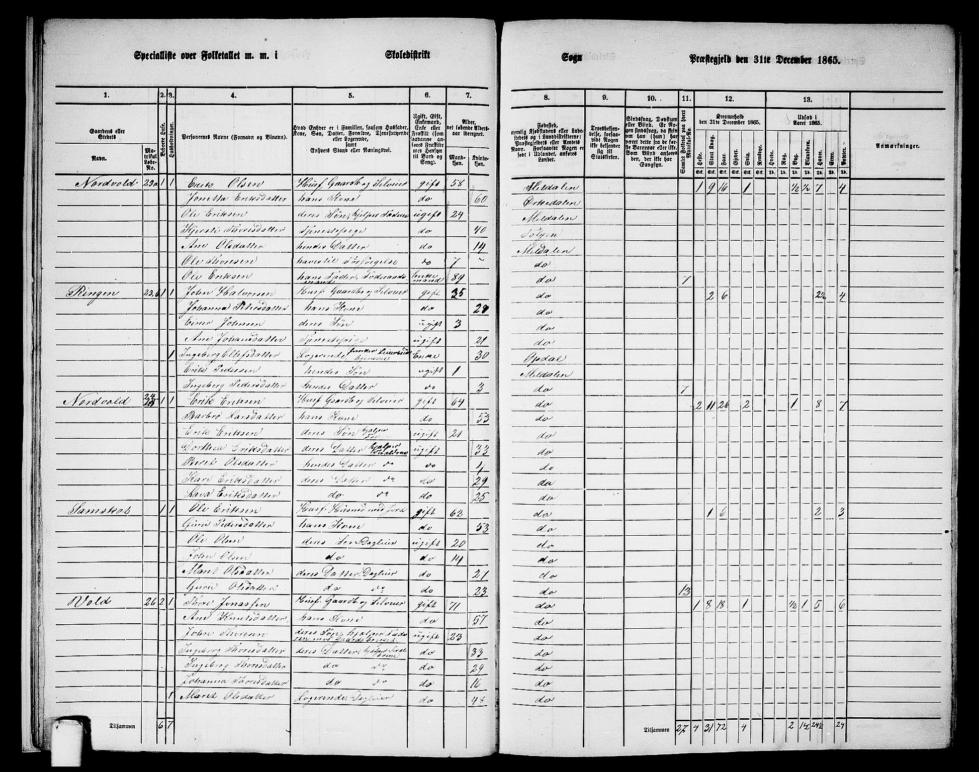 RA, 1865 census for Meldal, 1865, p. 13