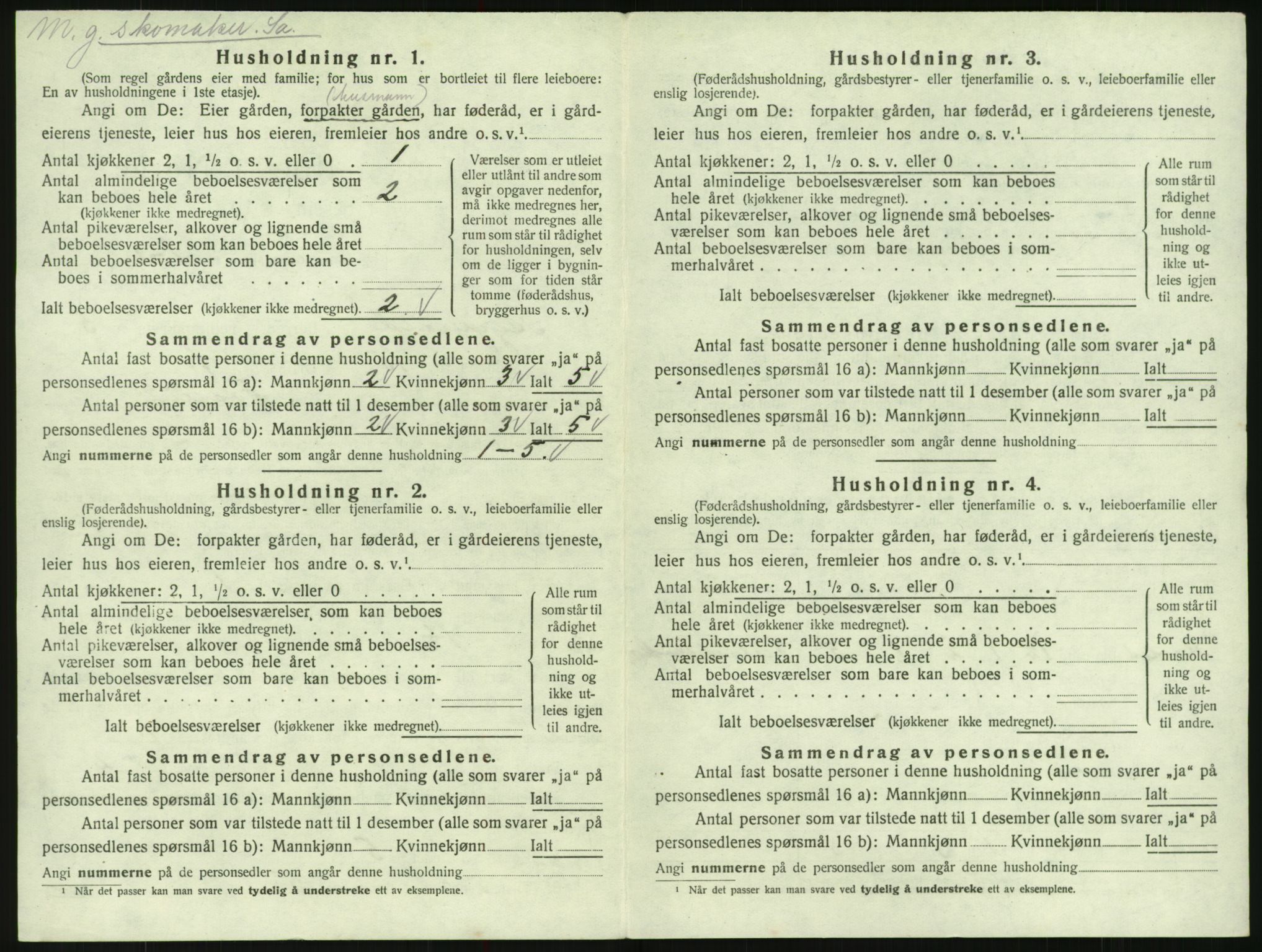 SAK, 1920 census for Bygland, 1920, p. 228