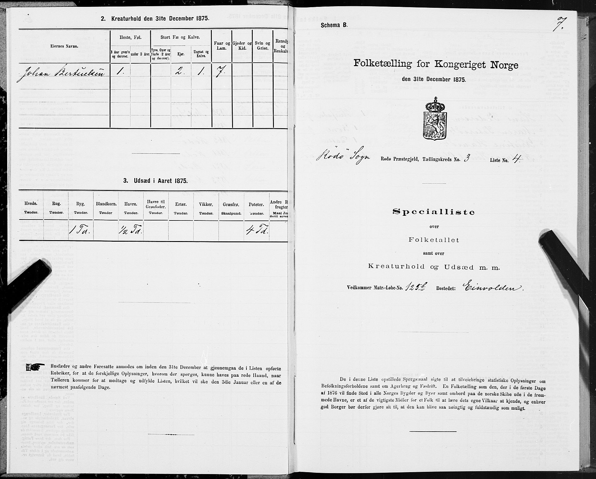 SAT, 1875 census for 1836P Rødøy, 1875, p. 2007