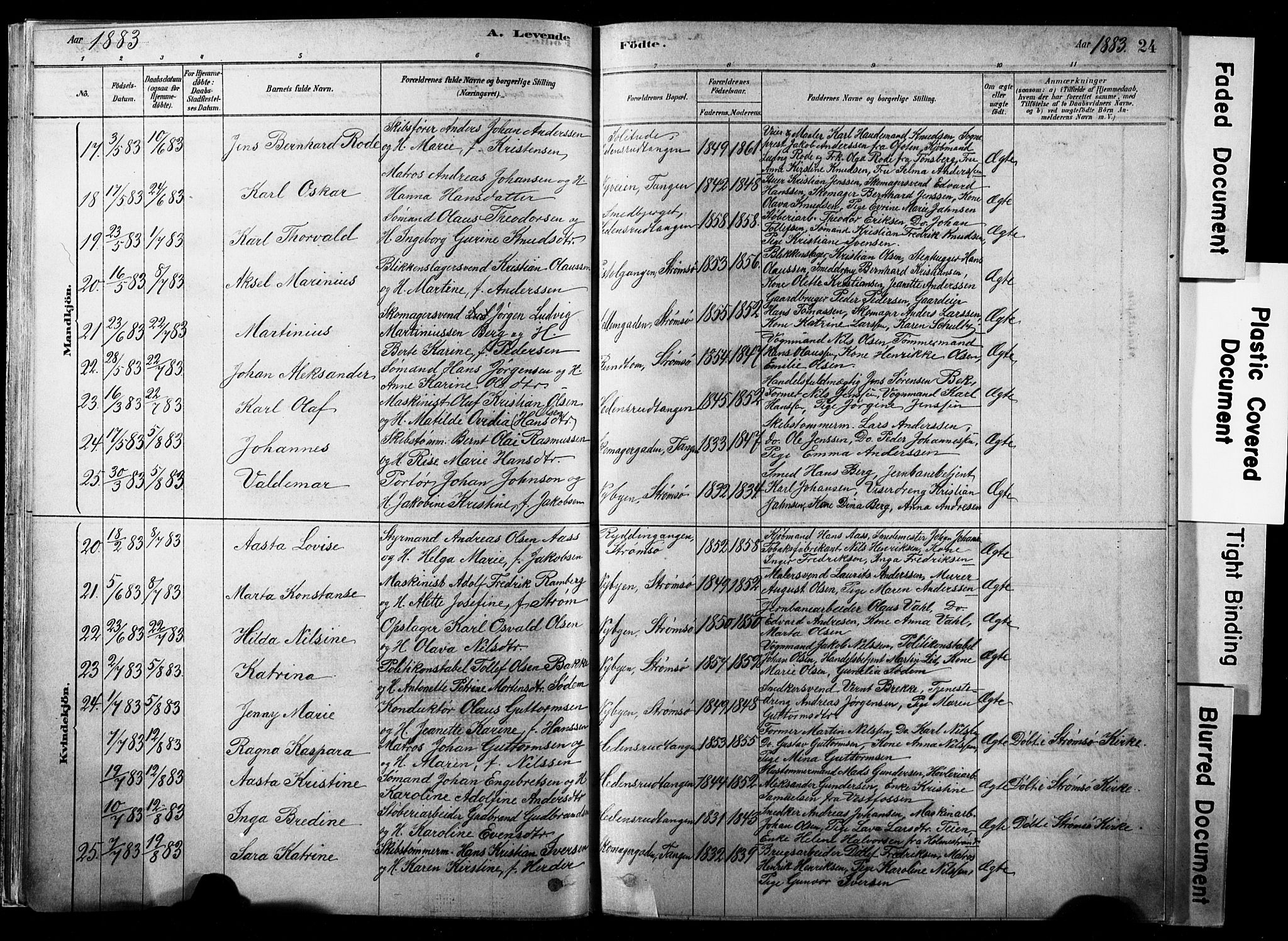 Strømsø kirkebøker, AV/SAKO-A-246/F/Fb/L0006: Parish register (official) no. II 6, 1879-1910, p. 24