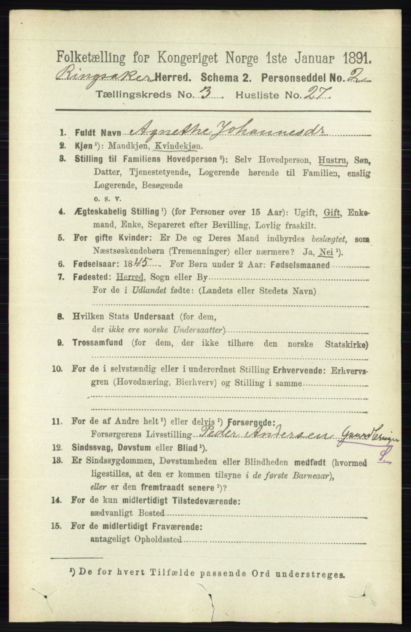 RA, 1891 census for 0412 Ringsaker, 1891, p. 1391