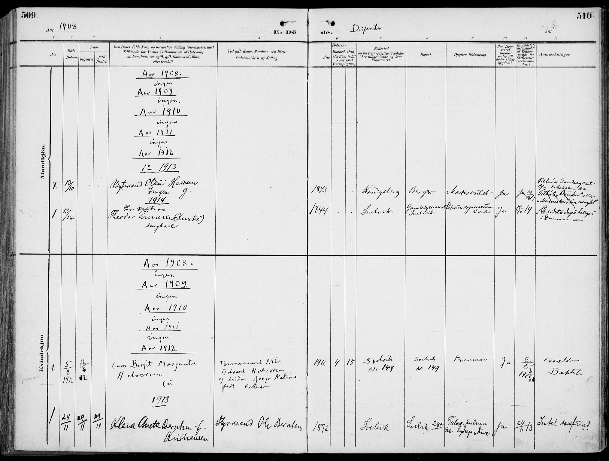 Strømm kirkebøker, AV/SAKO-A-322/F/Fb/L0002: Parish register (official) no. II 2, 1900-1919, p. 509-510