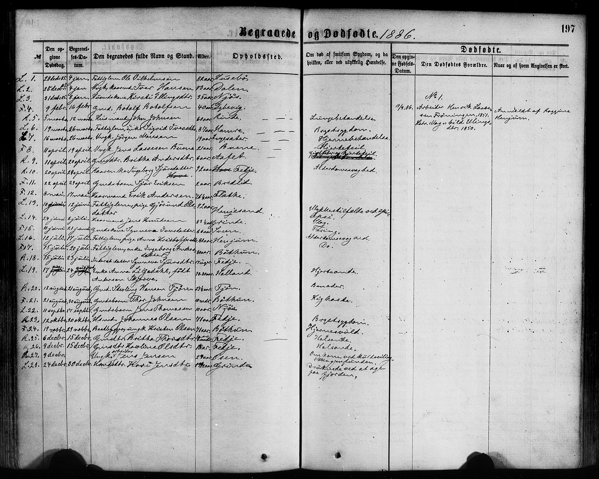 Leikanger sokneprestembete, SAB/A-81001: Parish register (official) no. A 9, 1869-1888, p. 197