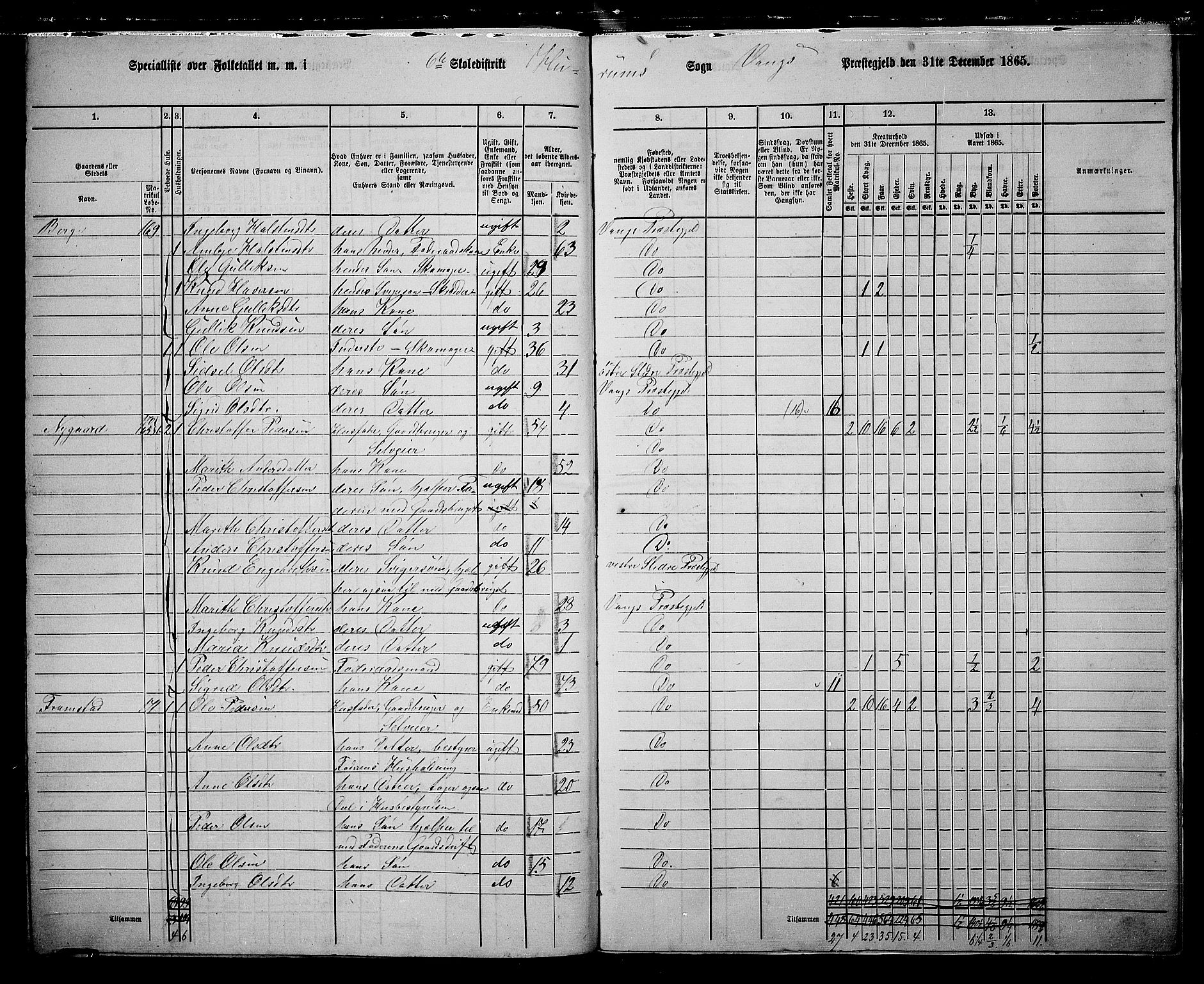 RA, 1865 census for Vang, 1865, p. 113