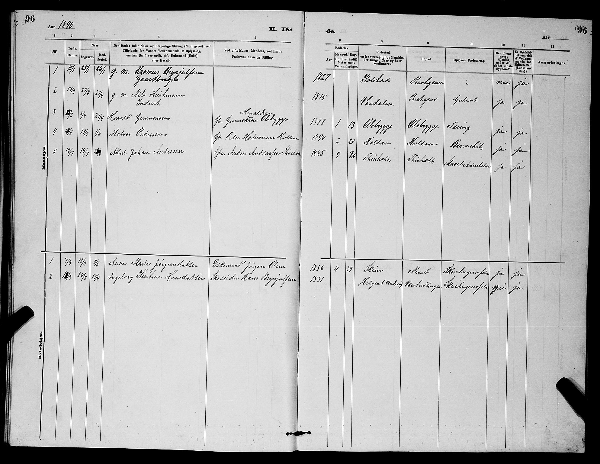 Holla kirkebøker, AV/SAKO-A-272/G/Gb/L0001: Parish register (copy) no. II 1, 1882-1897, p. 96