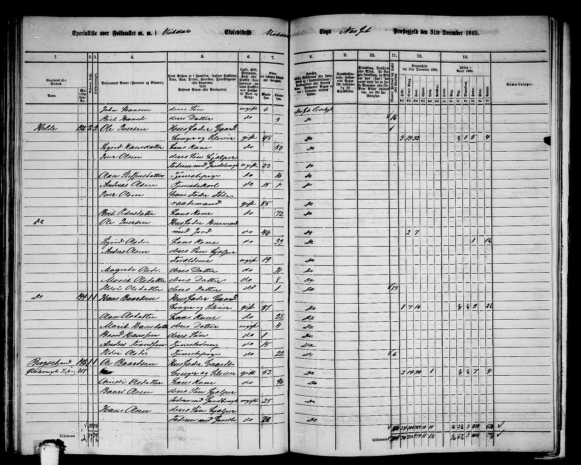 RA, 1865 census for Nesset, 1865, p. 128