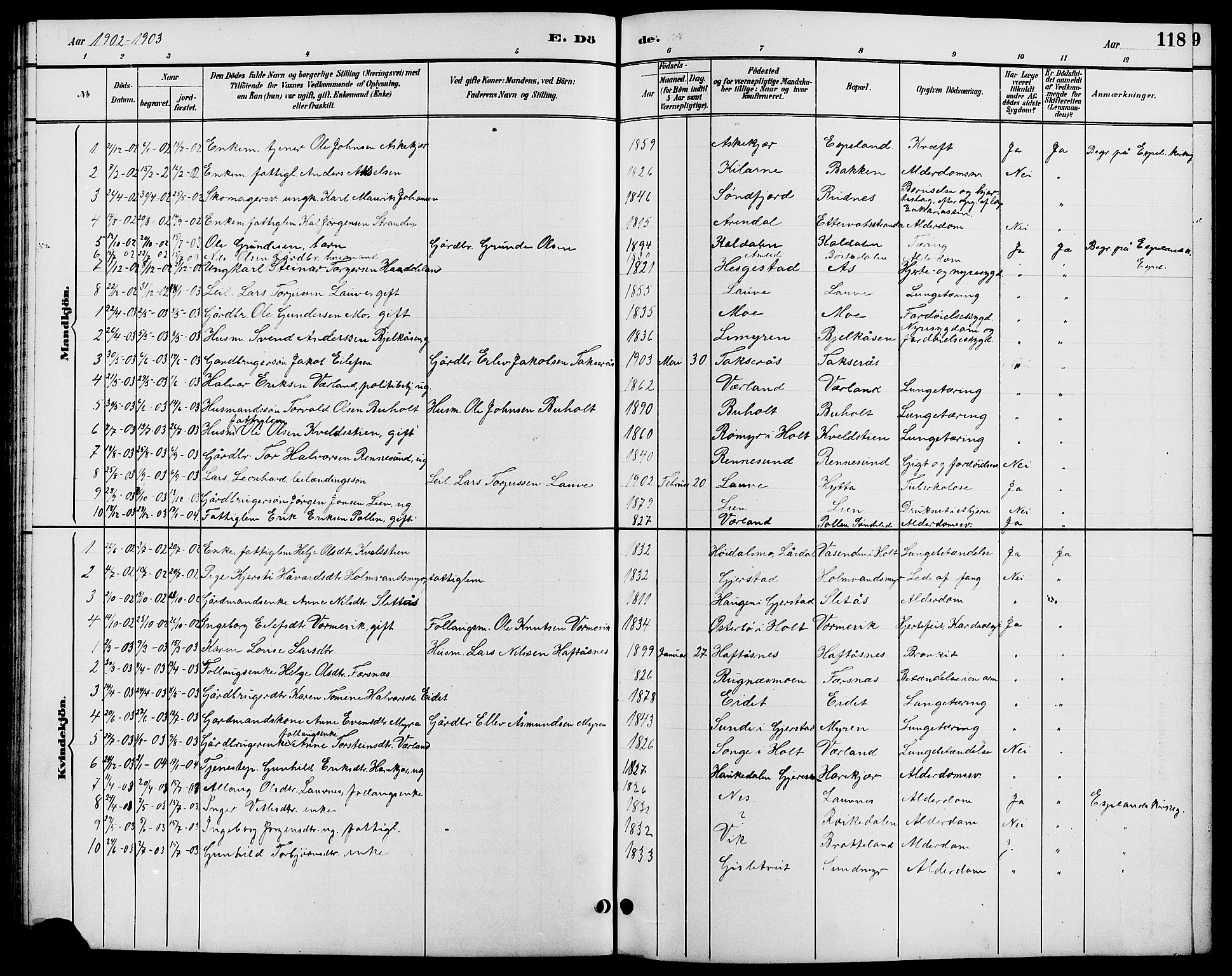 Gjerstad sokneprestkontor, SAK/1111-0014/F/Fb/Fbb/L0004: Parish register (copy) no. B 4, 1890-1910, p. 118