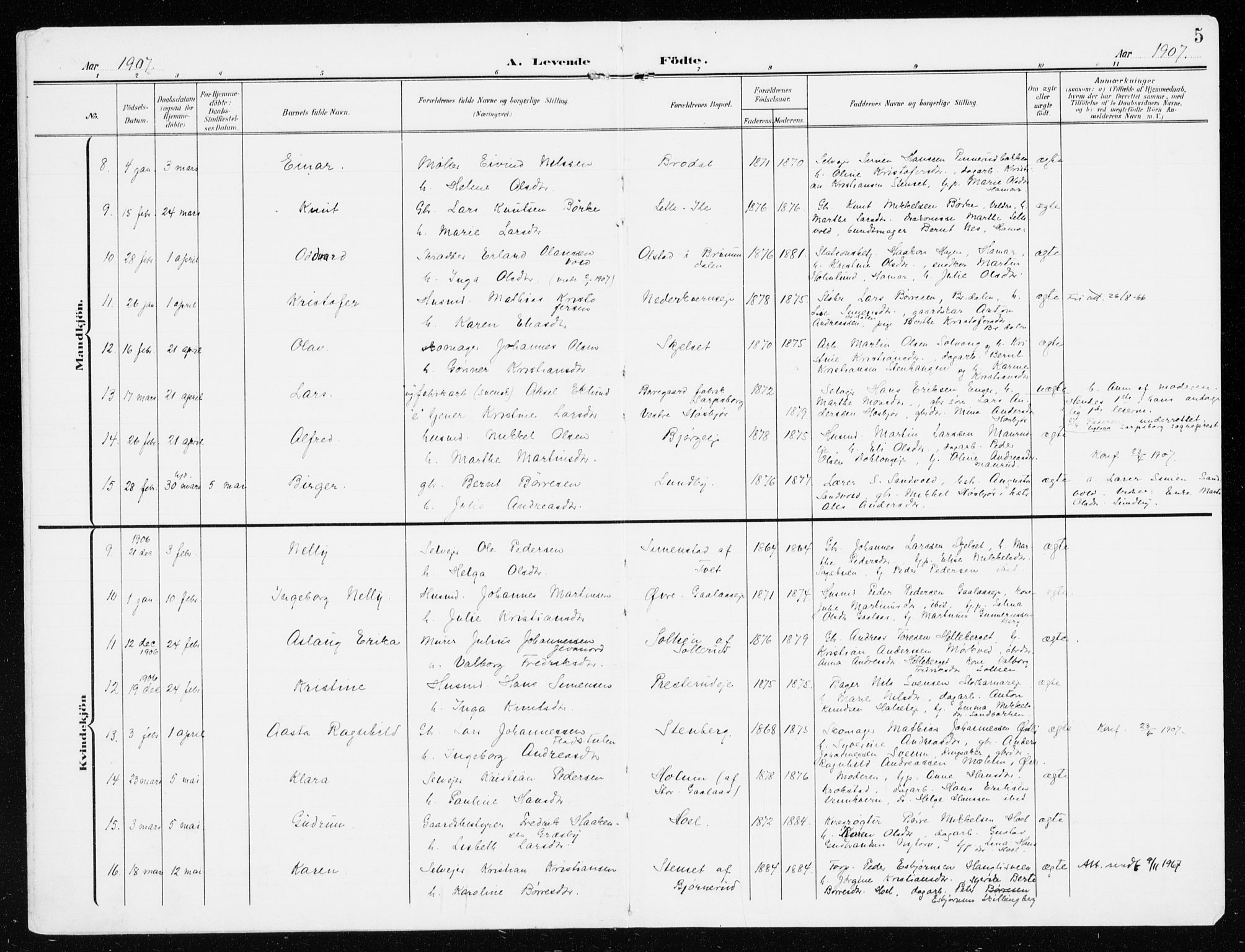 Furnes prestekontor, AV/SAH-PREST-012/K/Ka/L0001: Parish register (official) no. 1, 1907-1935, p. 5