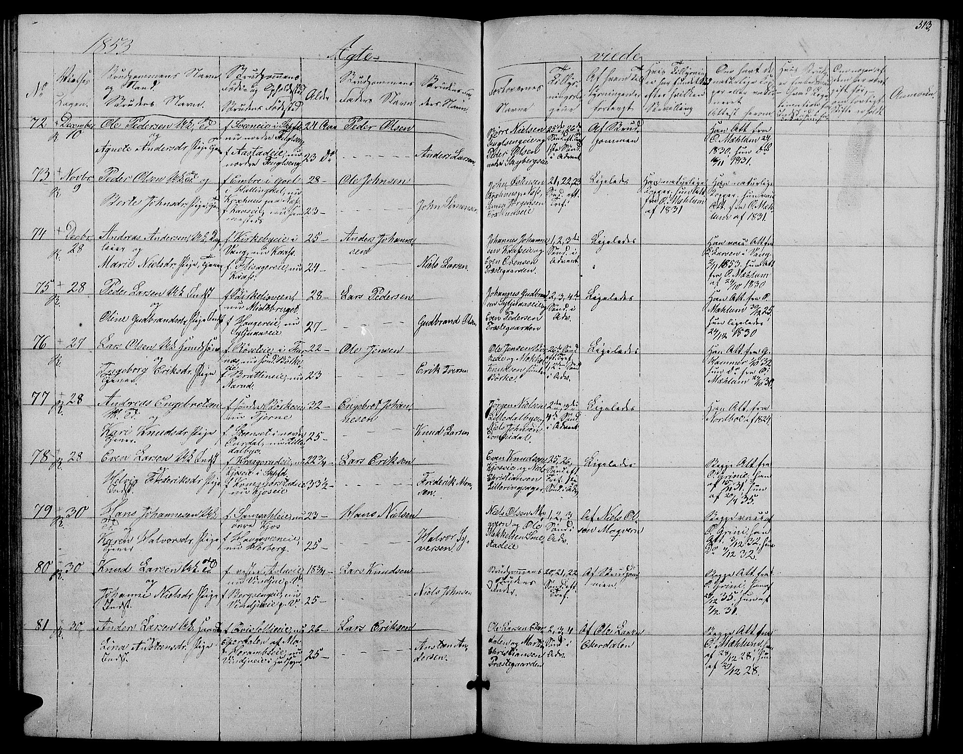 Ringsaker prestekontor, SAH/PREST-014/L/La/L0006: Parish register (copy) no. 6, 1851-1860, p. 313