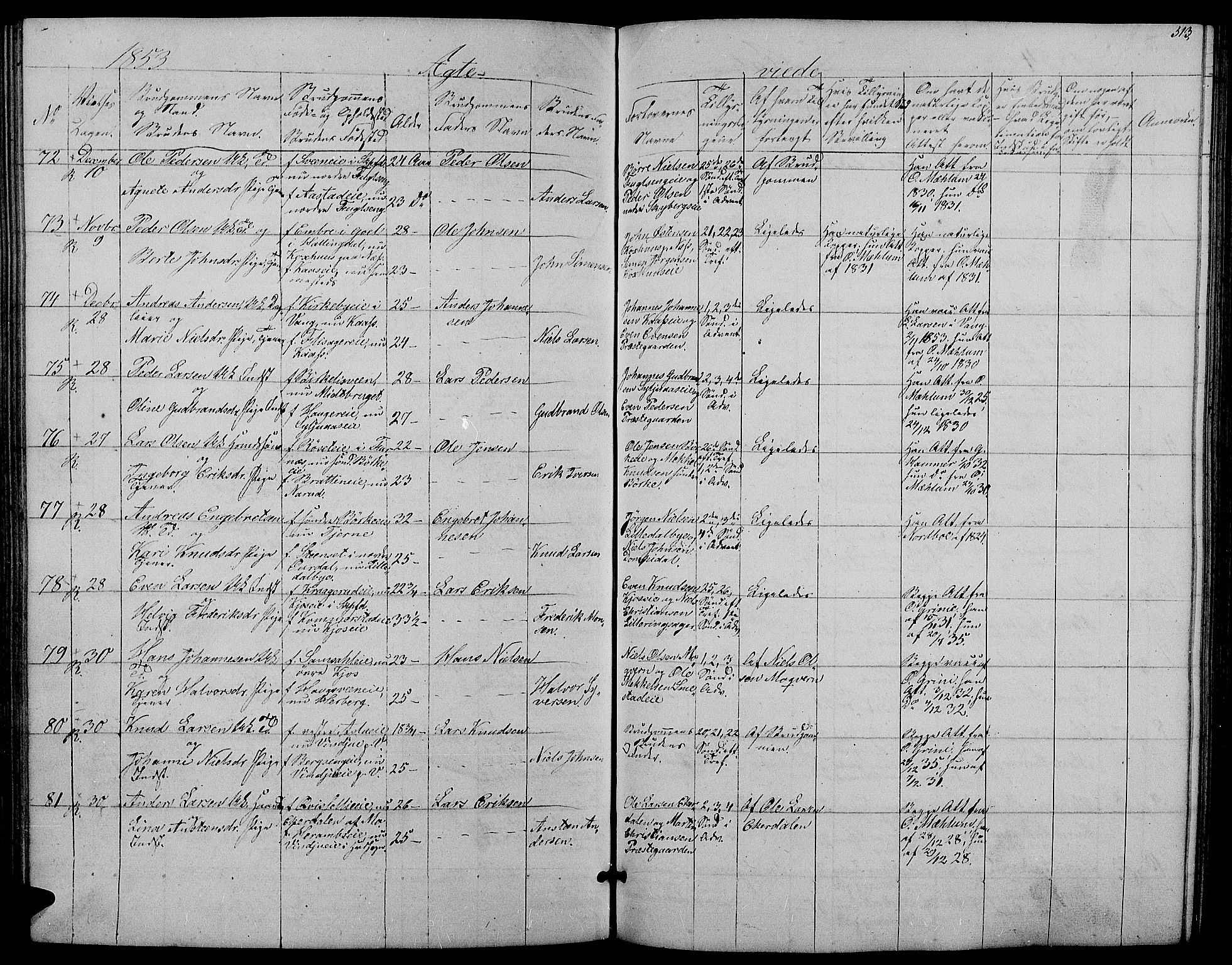 Ringsaker prestekontor, AV/SAH-PREST-014/L/La/L0006: Parish register (copy) no. 6, 1851-1860, p. 313
