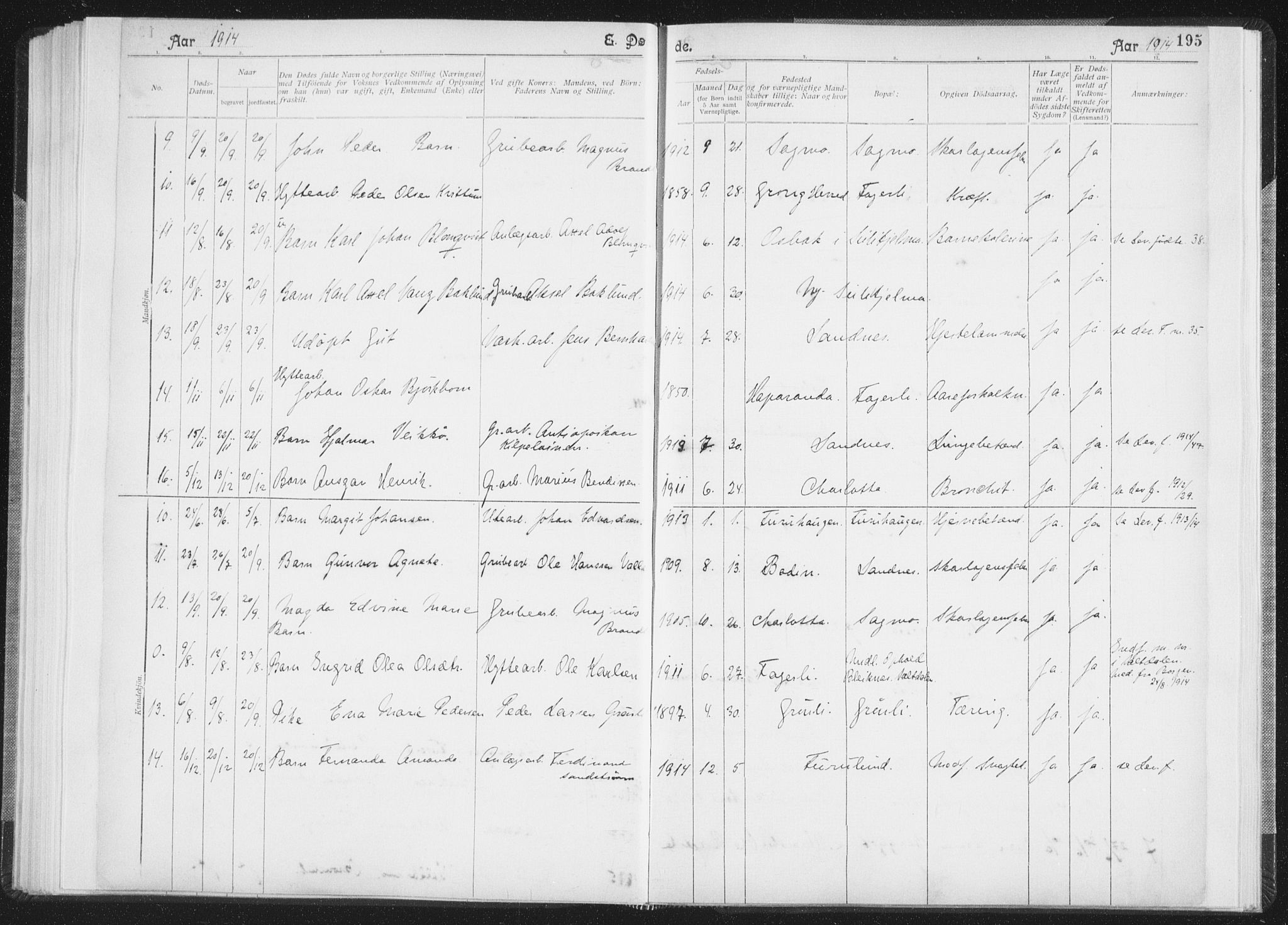 Ministerialprotokoller, klokkerbøker og fødselsregistre - Nordland, SAT/A-1459/850/L0711: Curate's parish register no. 850B01, 1902-1915, p. 195