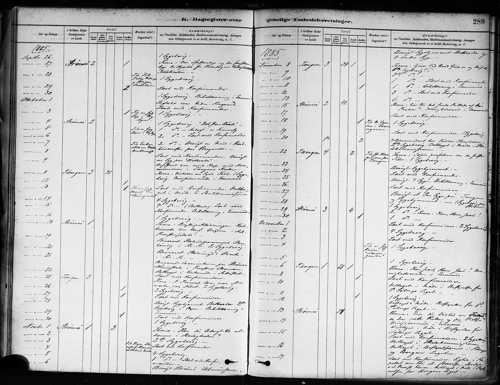 Strømsø kirkebøker, AV/SAKO-A-246/F/Fa/L0022: Parish register (official) no. I 22, 1879-1899, p. 289