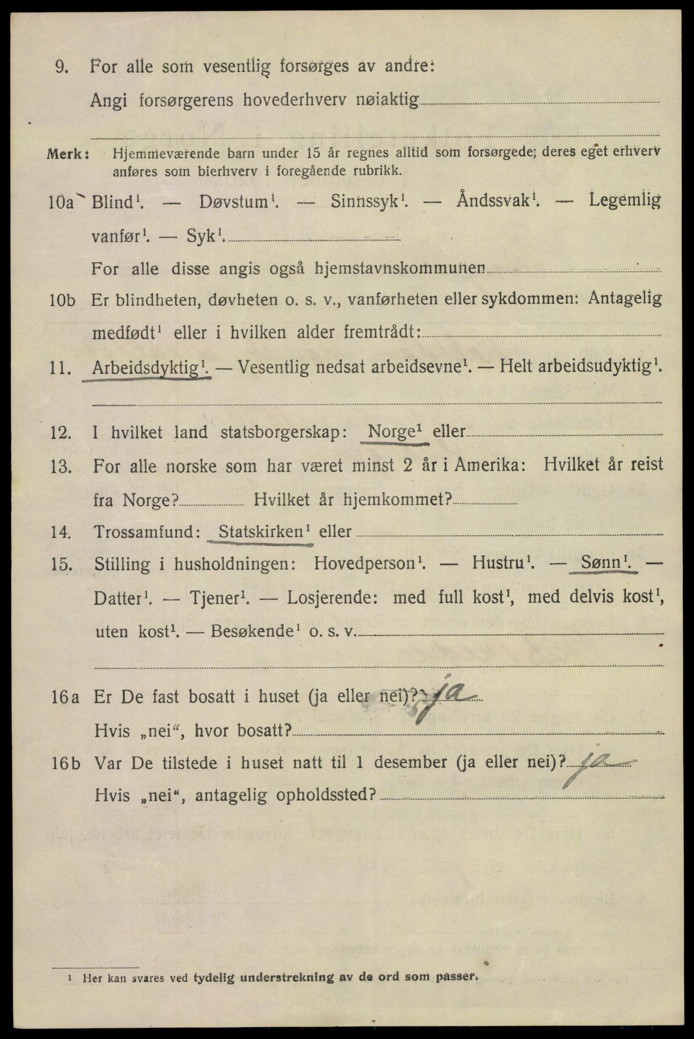 SAKO, 1920 census for Porsgrunn, 1920, p. 18924